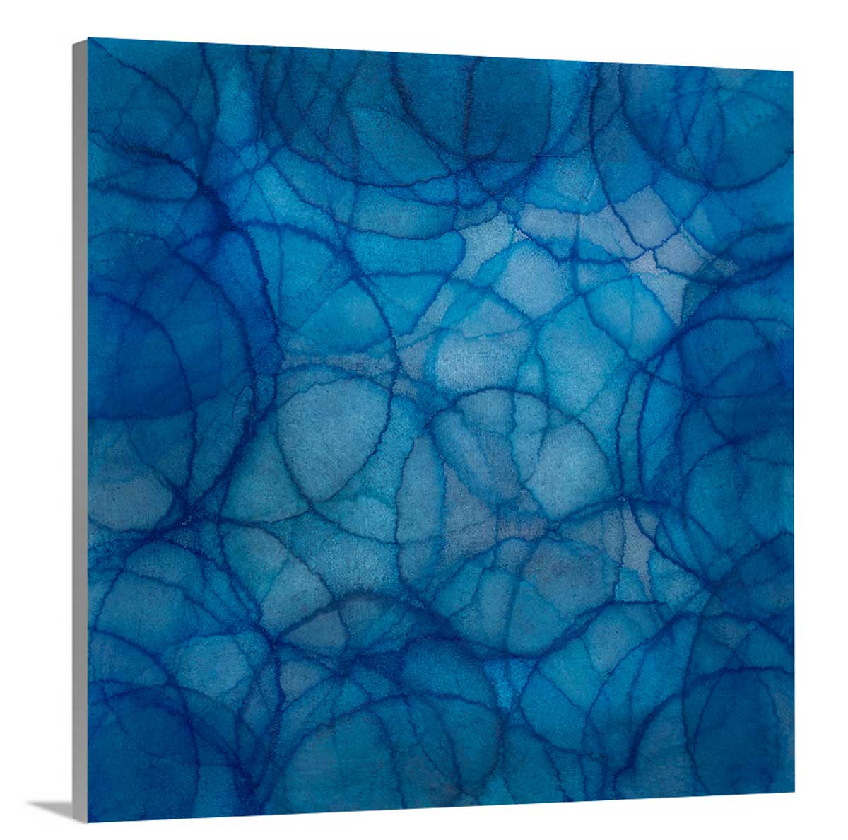 Cineraria - Limited Edition Canvas Print - Image 6