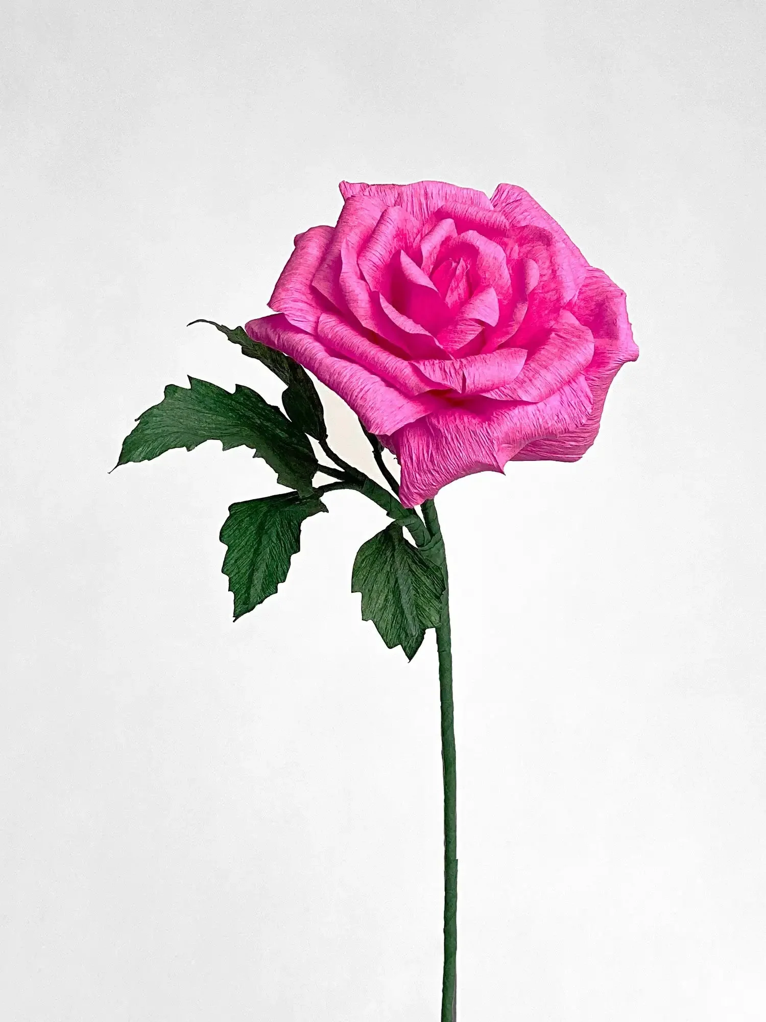 Classic Rose | Paper Flower Stem - Image 11