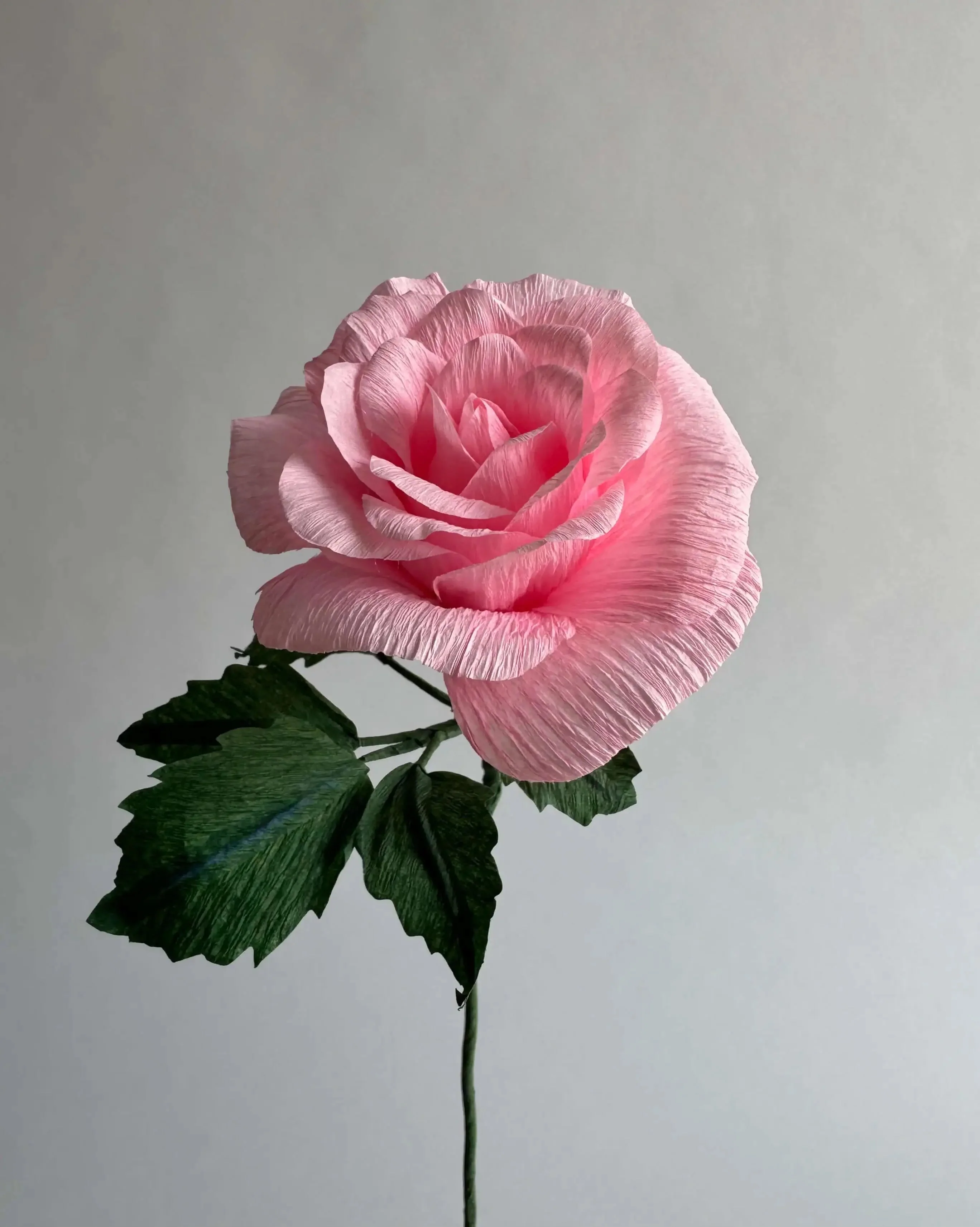 Classic Rose | Paper Flower Stem - Image 12
