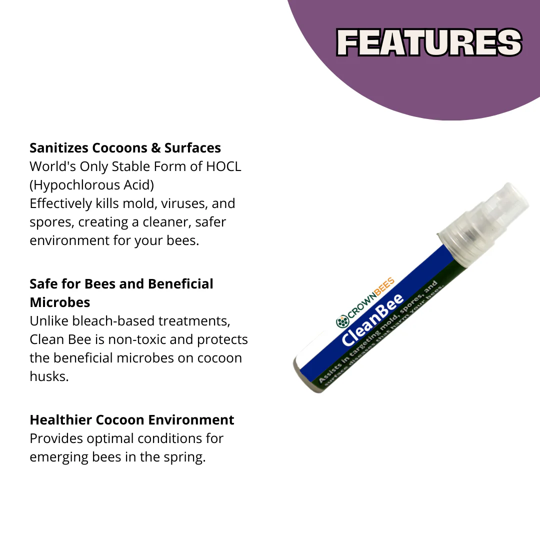 Clean Bee™ Solution - Image 3