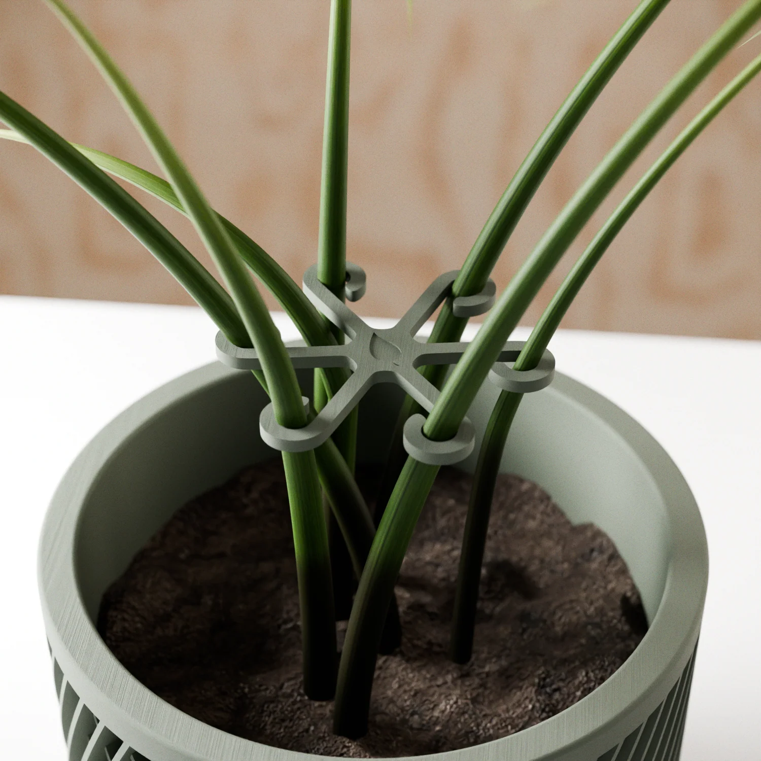 Climbing Plant Stem Support Stakes - Image 2