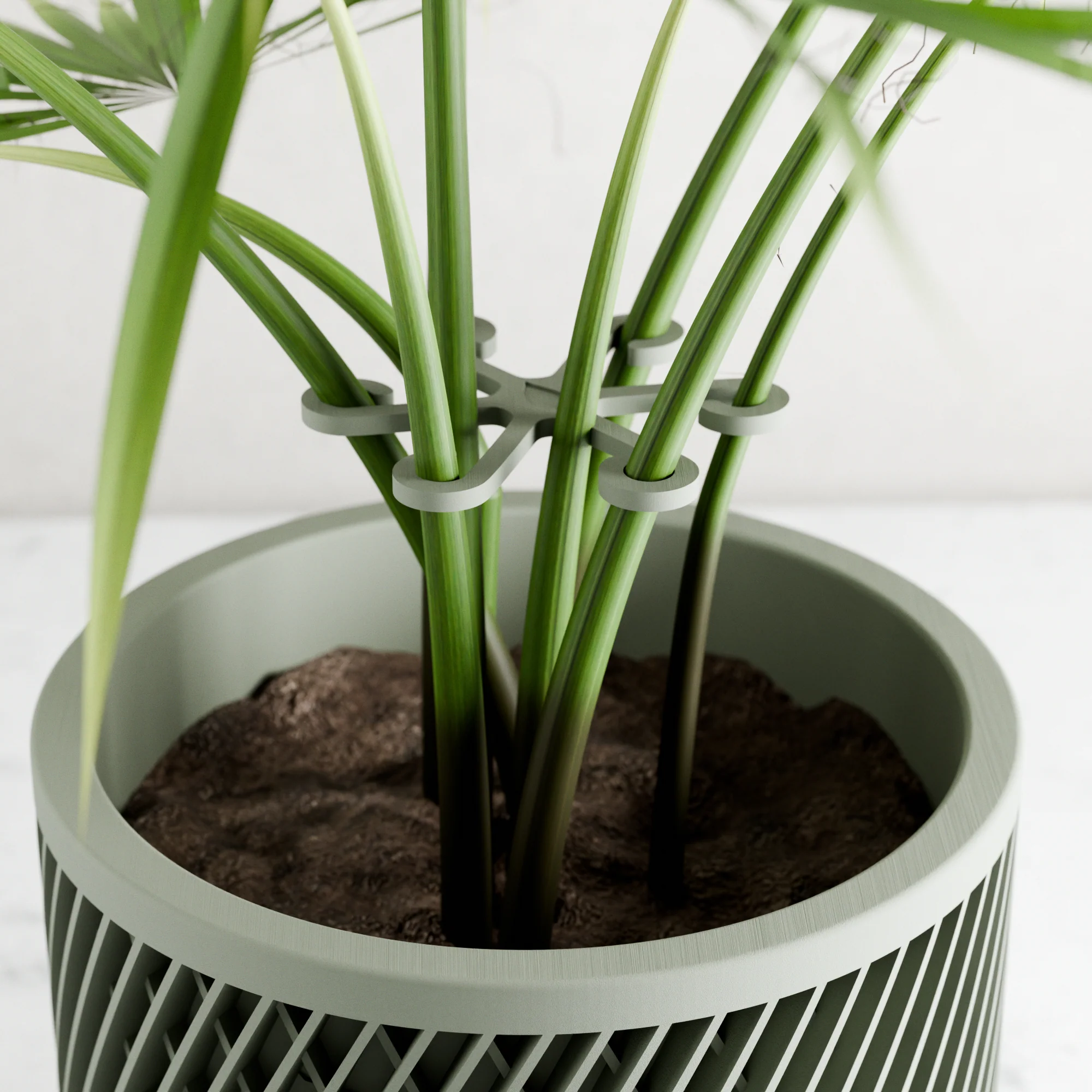 Climbing Plant Stem Support Stakes - Image 3