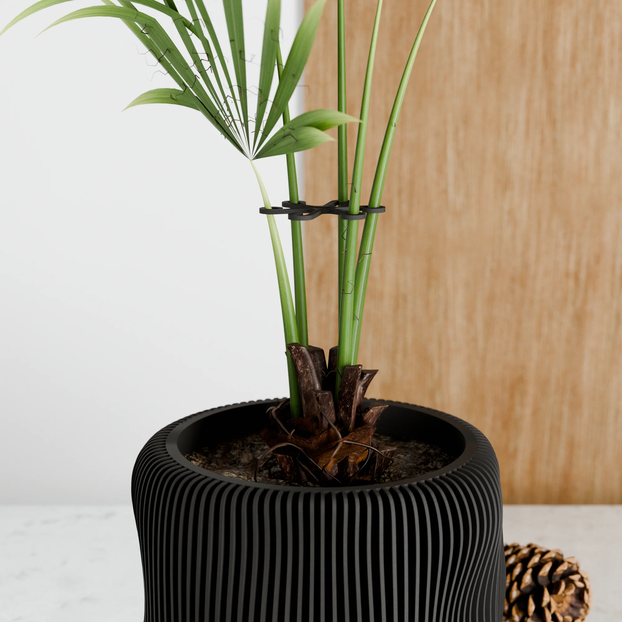 Climbing Plant Stem Support Stakes - Image 7