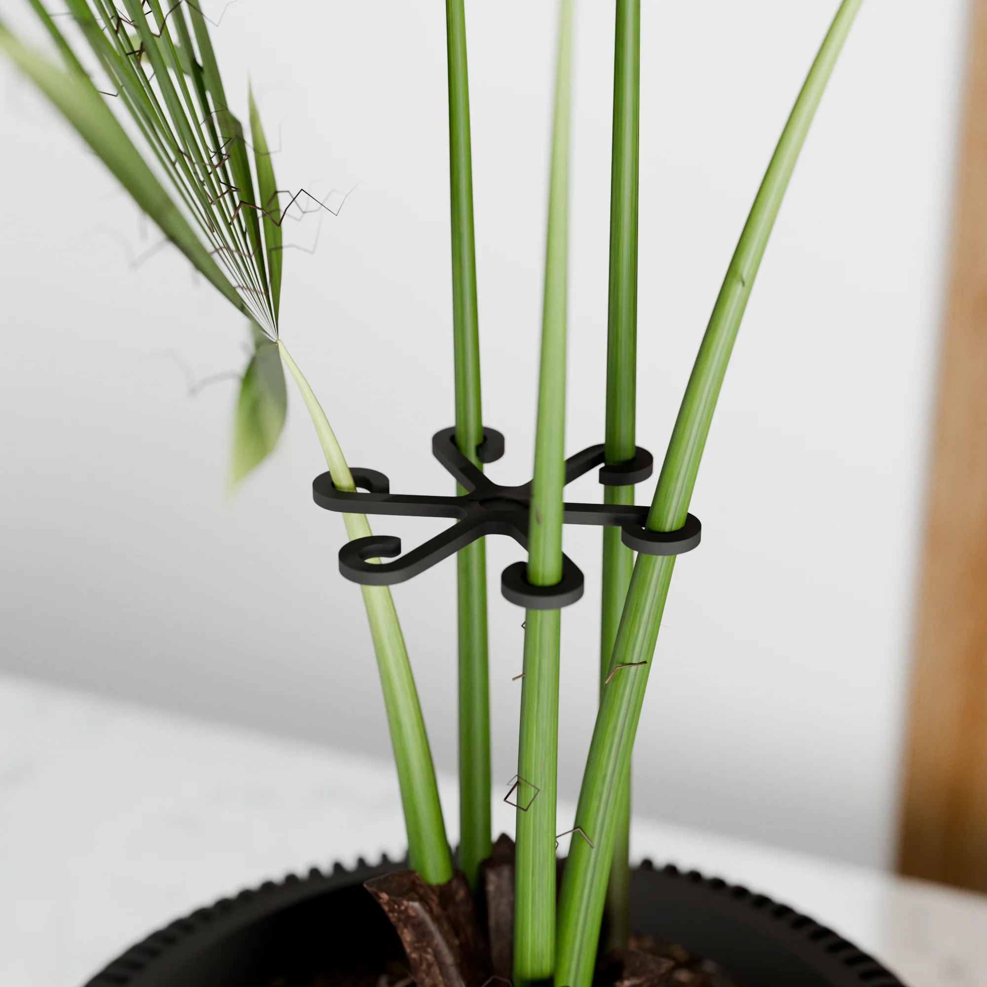 Climbing Plant Stem Support Stakes - Image 8