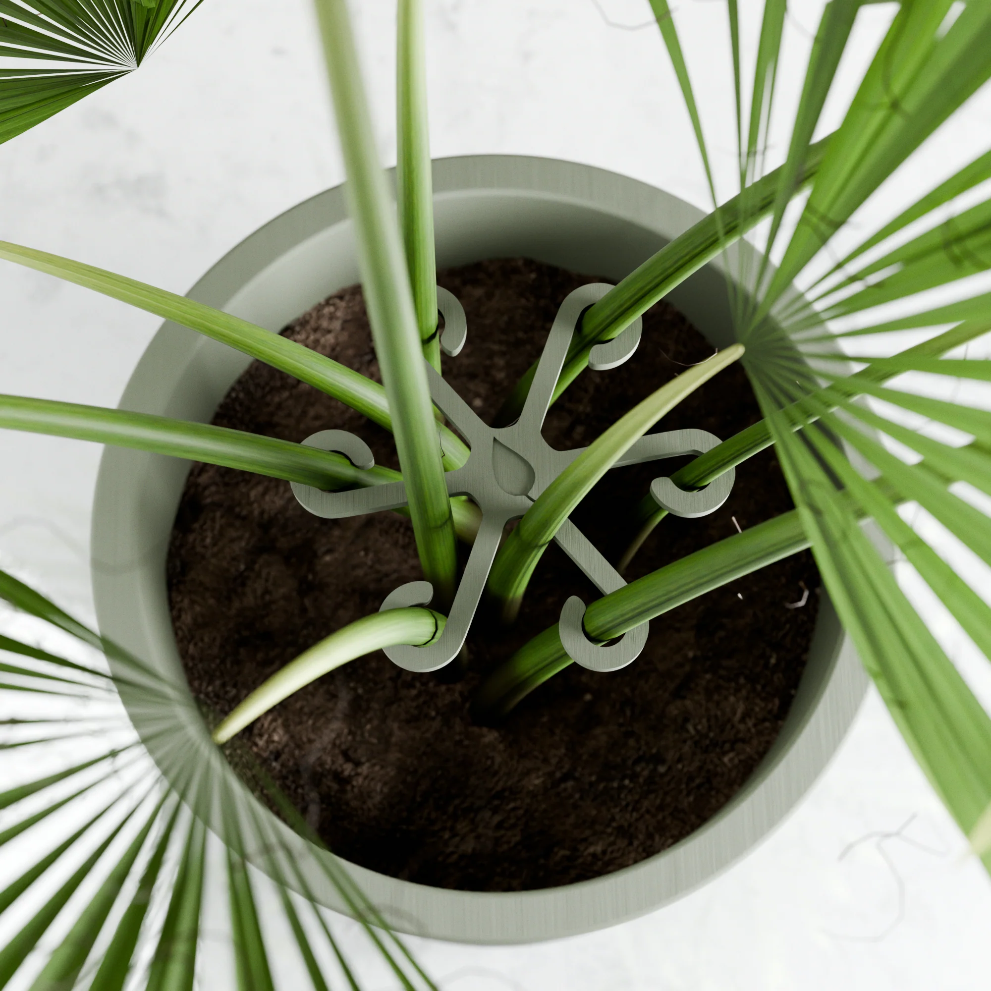 Climbing Plant Stem Support Stakes - Image 9