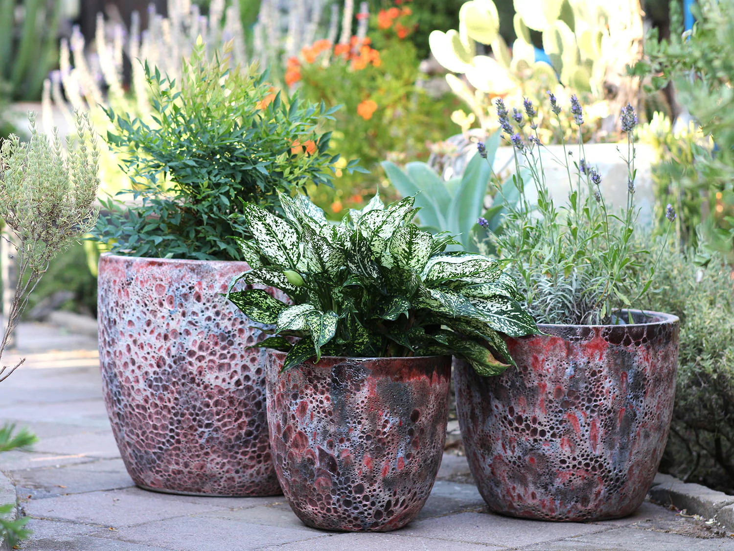 Coco Pots Coral - Set of 3 - Image 10