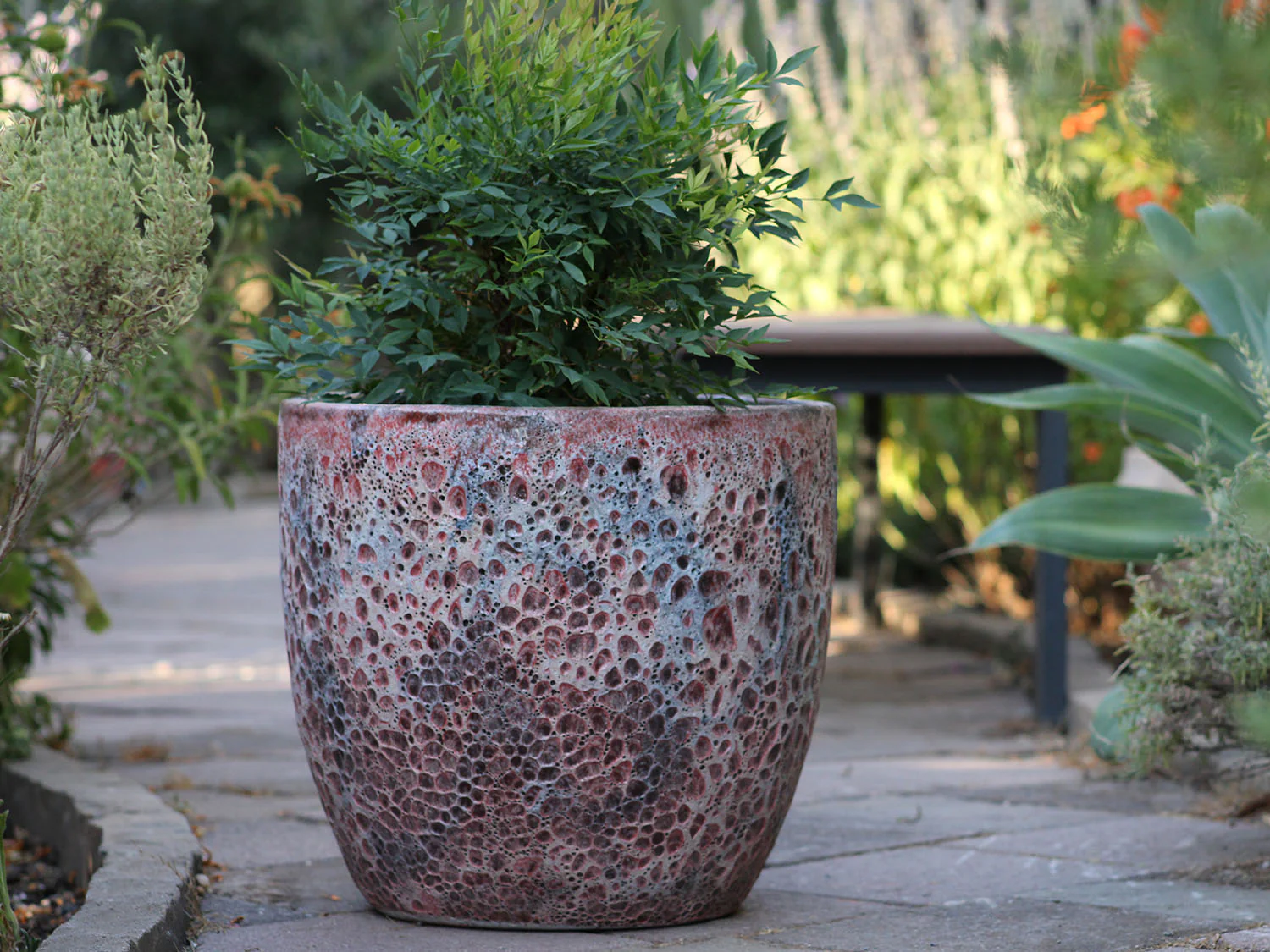 Coco Pots Coral - Set of 3 - Image 12