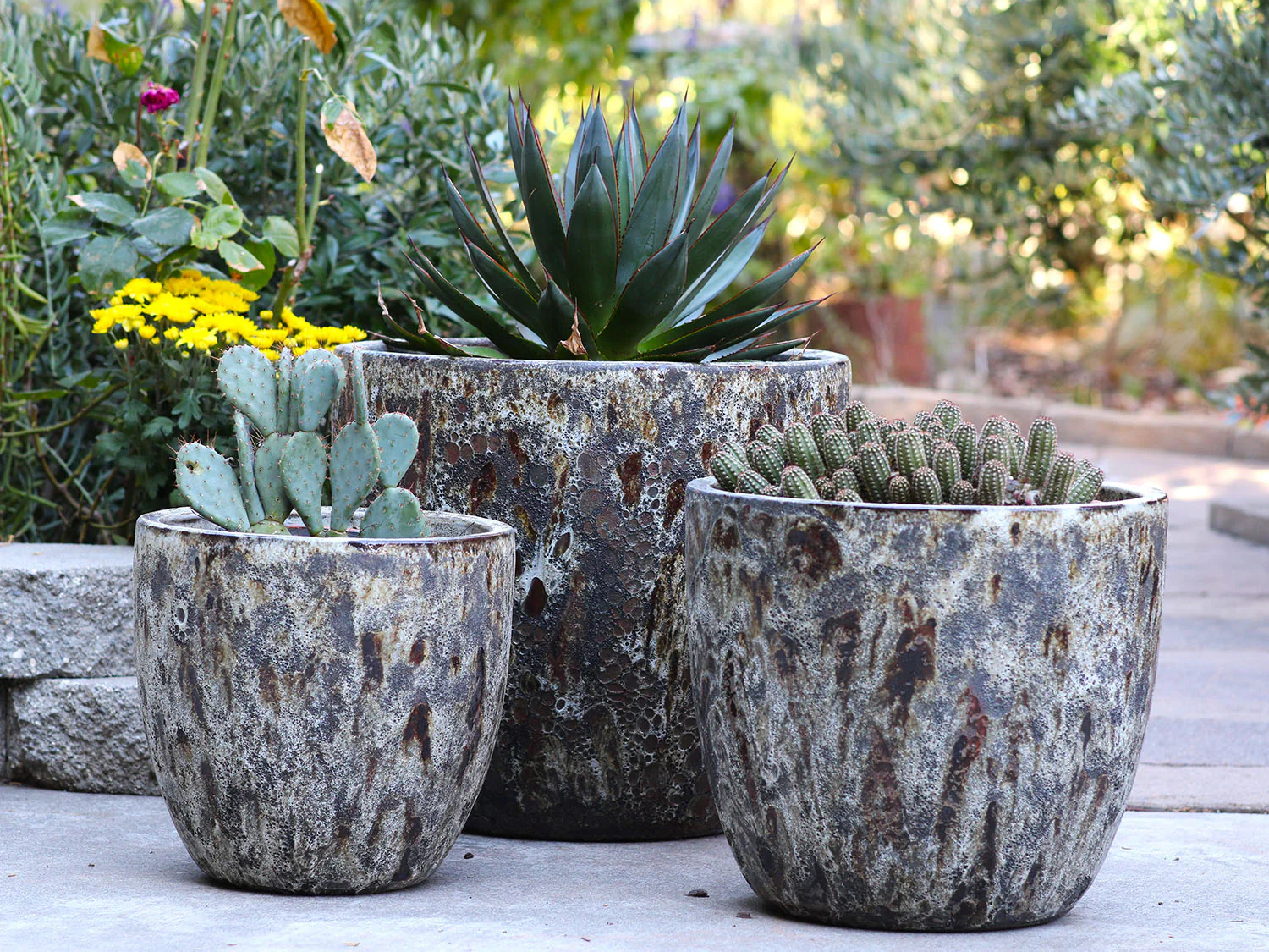 Coco Pots Coral - Set of 3 - Image 13
