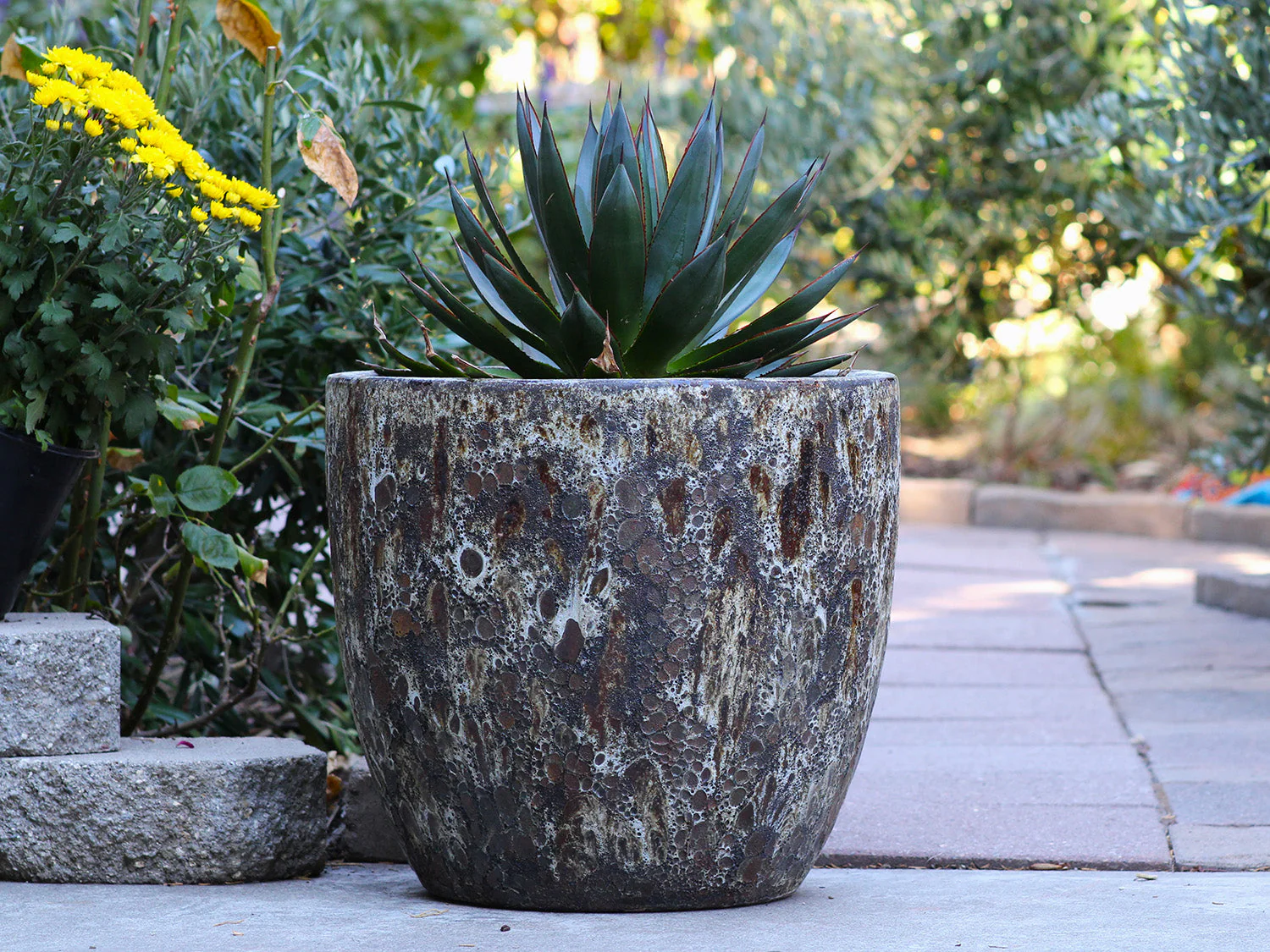 Coco Pots Coral - Set of 3 - Image 14