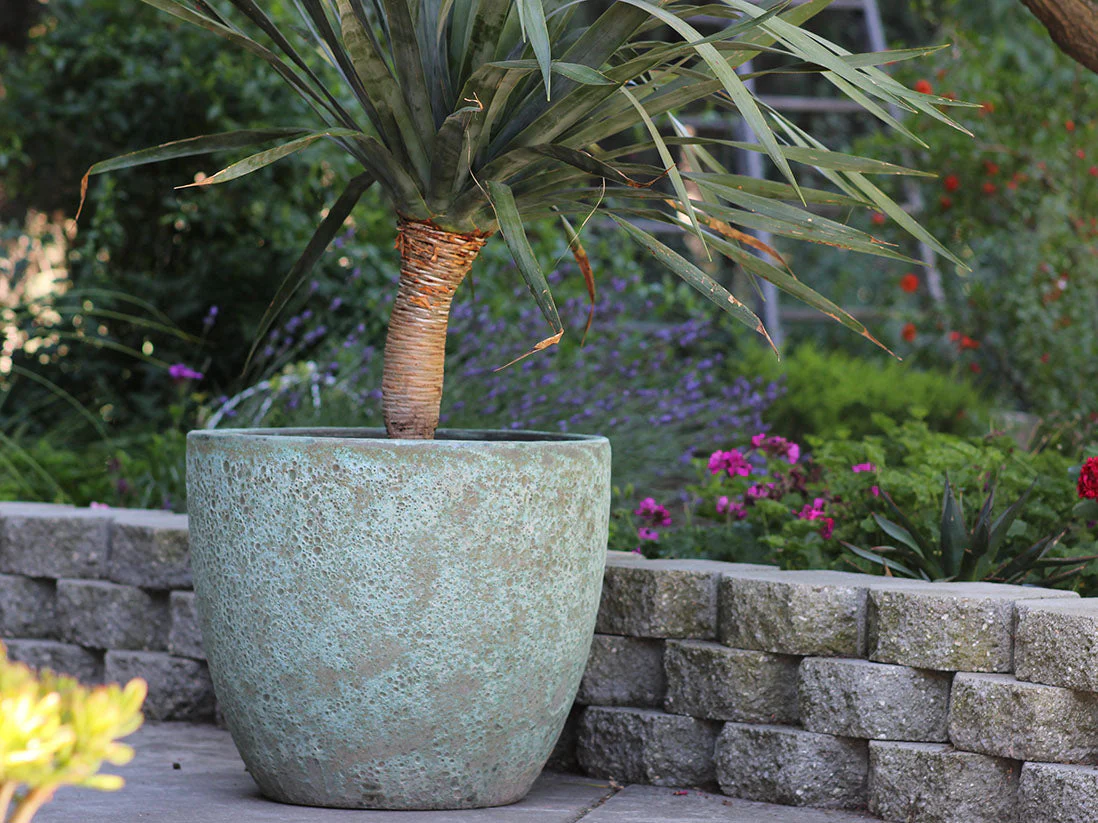 Coco Pots Coral - Large - Image 12