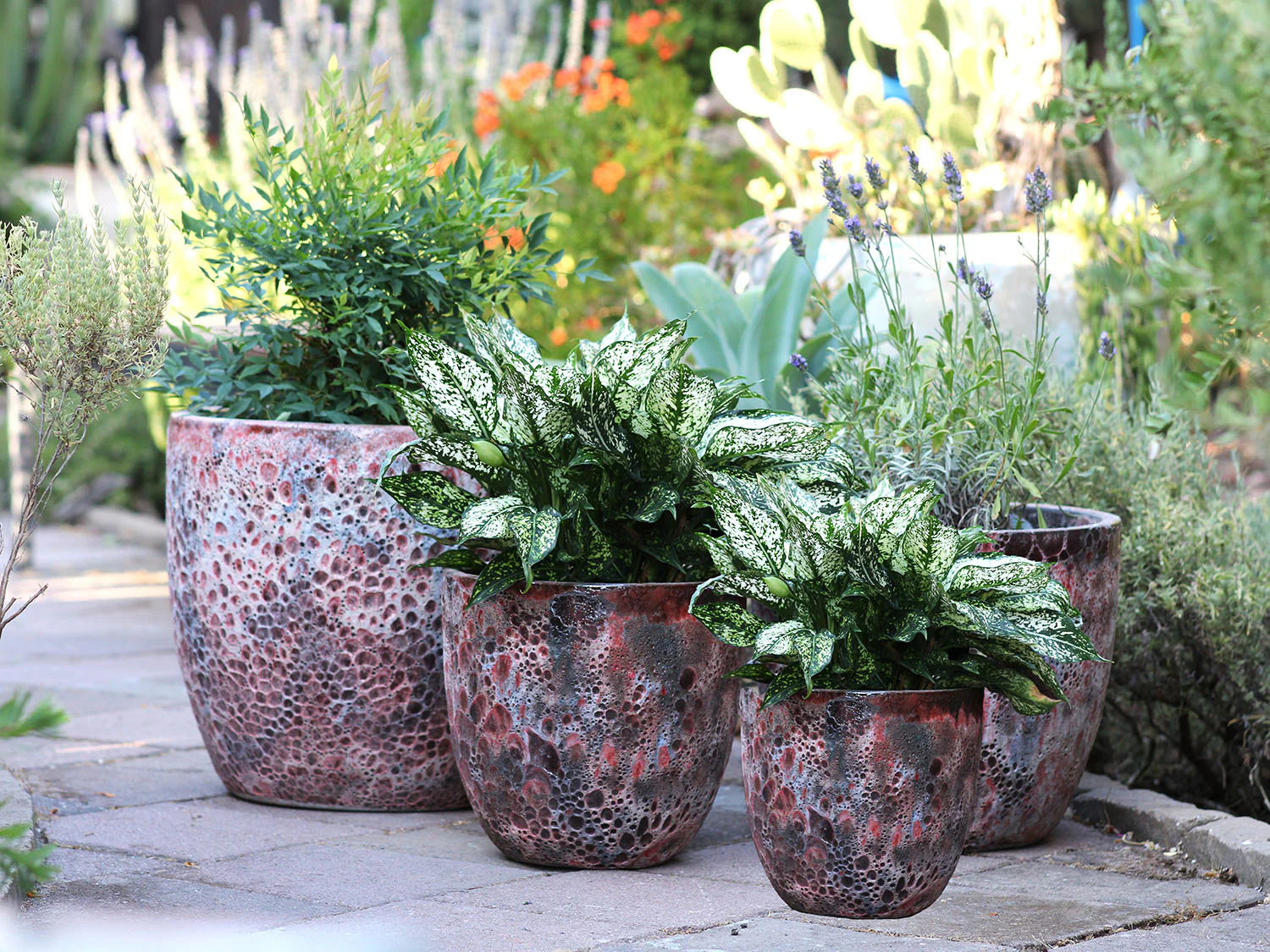 Coco Pots Coral - Large - Image 14
