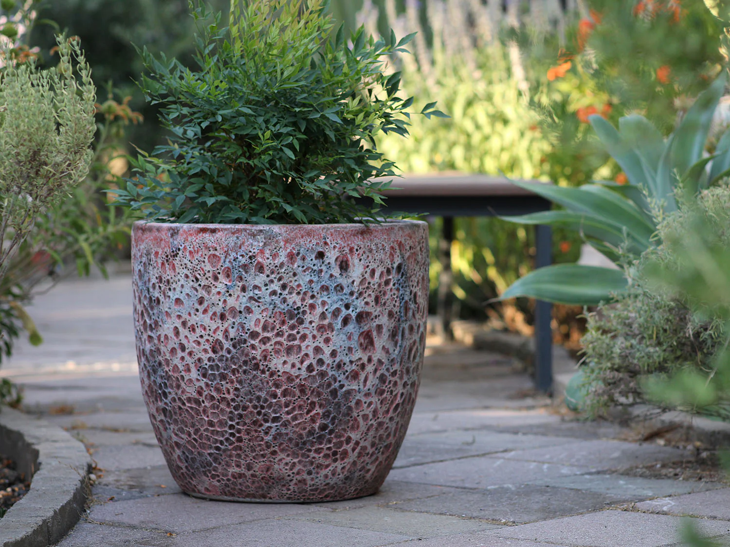 Coco Pots Coral - Large - Image 15