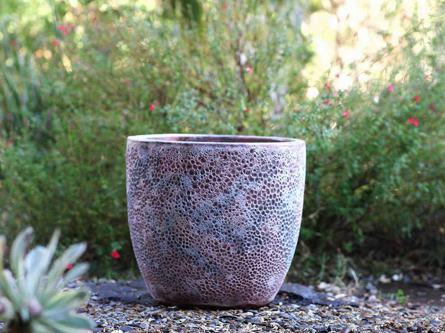 Coco Pots Coral - Large - Image 16