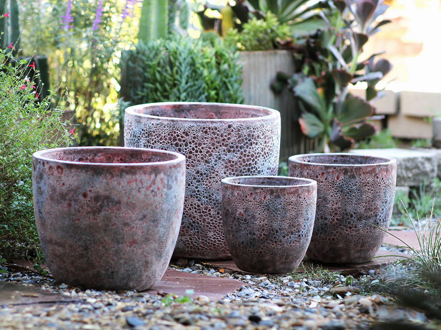 Coco Pots Coral - Large - Image 17