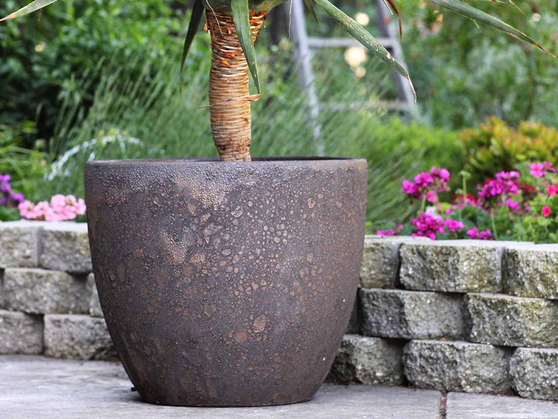 Coco Pots Coral - Large - Image 9