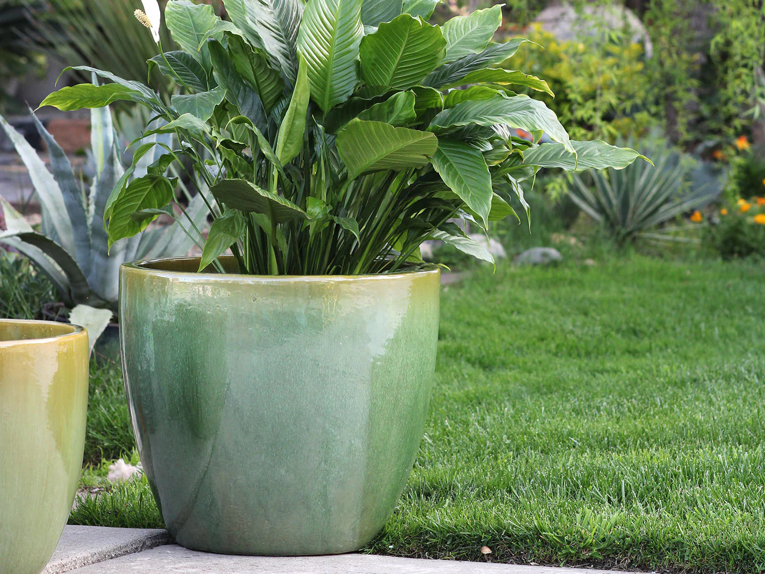 Coco Pots Glazed - Set of 4 By Plantatorem - Image 12