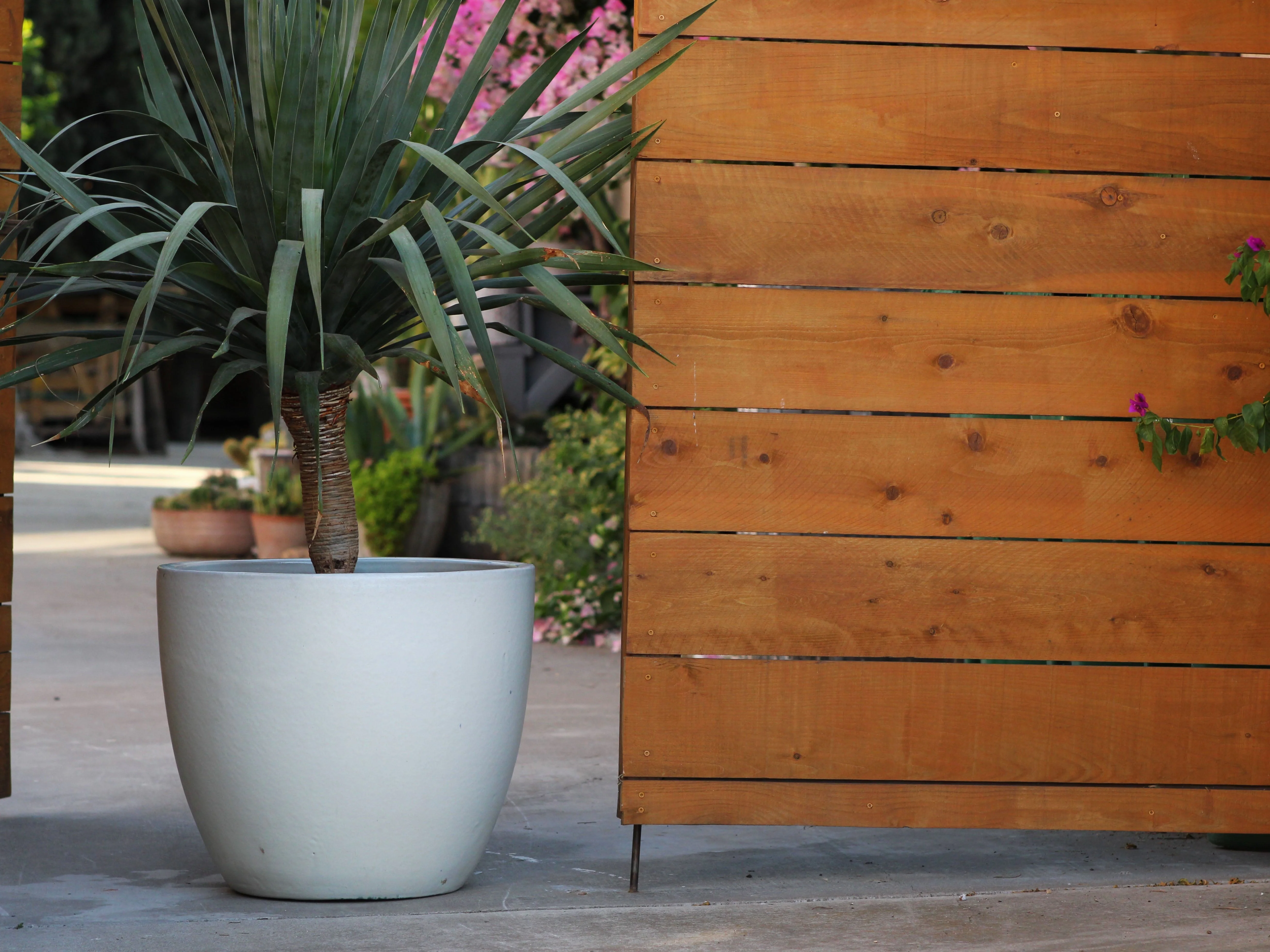 Coco Pots Glazed - Set of 4 By Plantatorem - Image 18