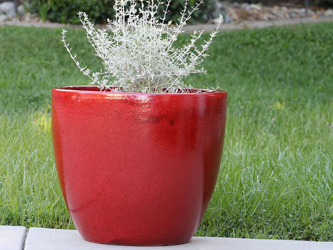 Coco Pots Glazed - Set of 4 By Plantatorem - Image 2