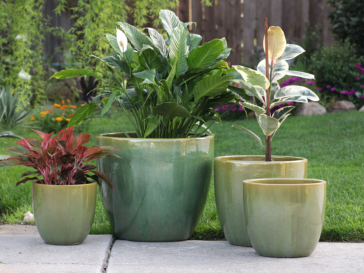 Coco Pots Glazed - Set of 4 By Plantatorem - Image 21