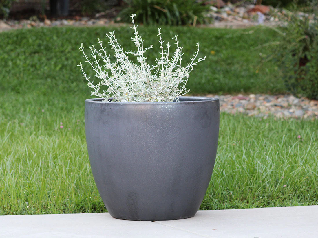 Coco Pots Glazed - Set of 4 By Plantatorem - Image 8