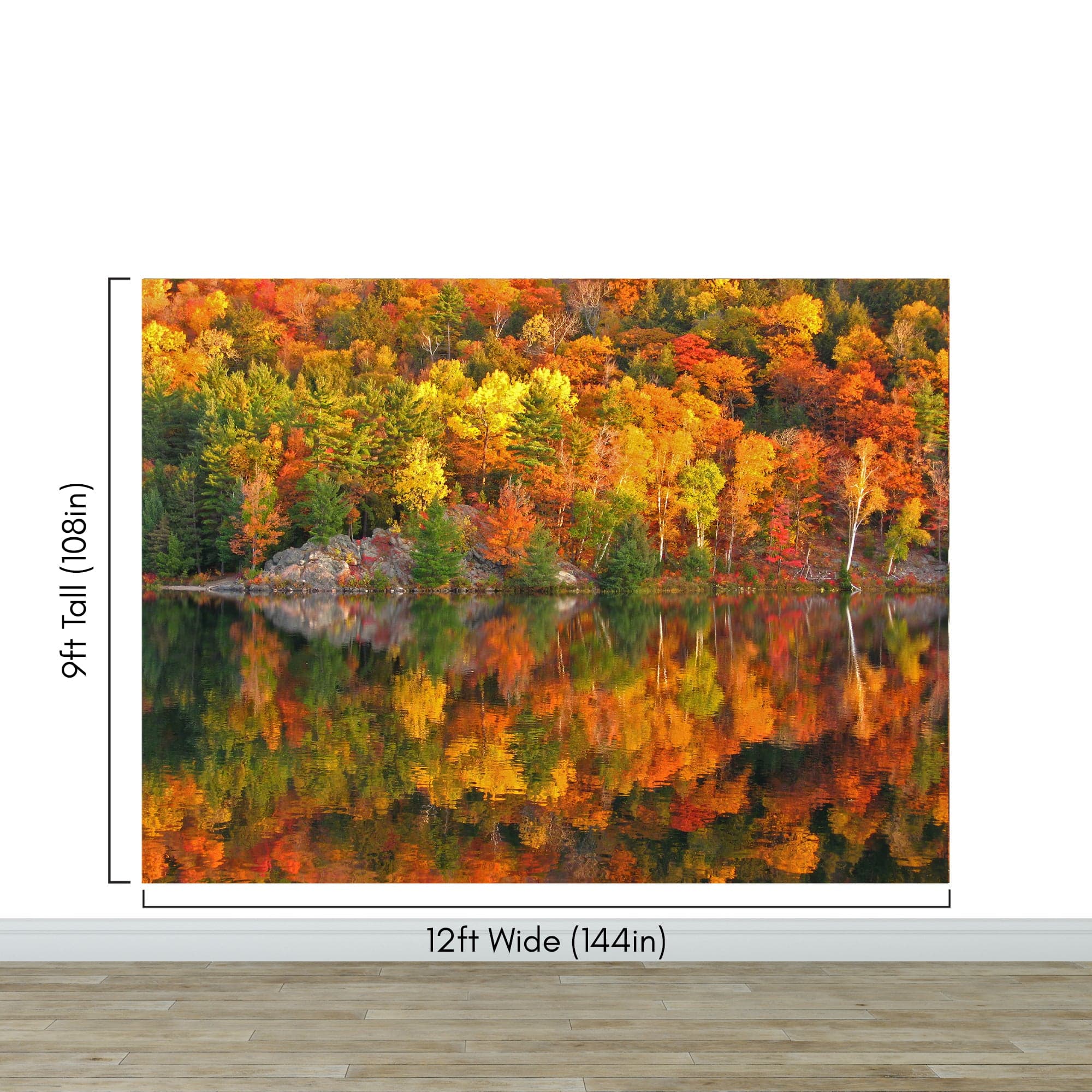 Colorful Autumn Forest Over Lake Wall Mural. Fall Foliage. #7052 - Image 10