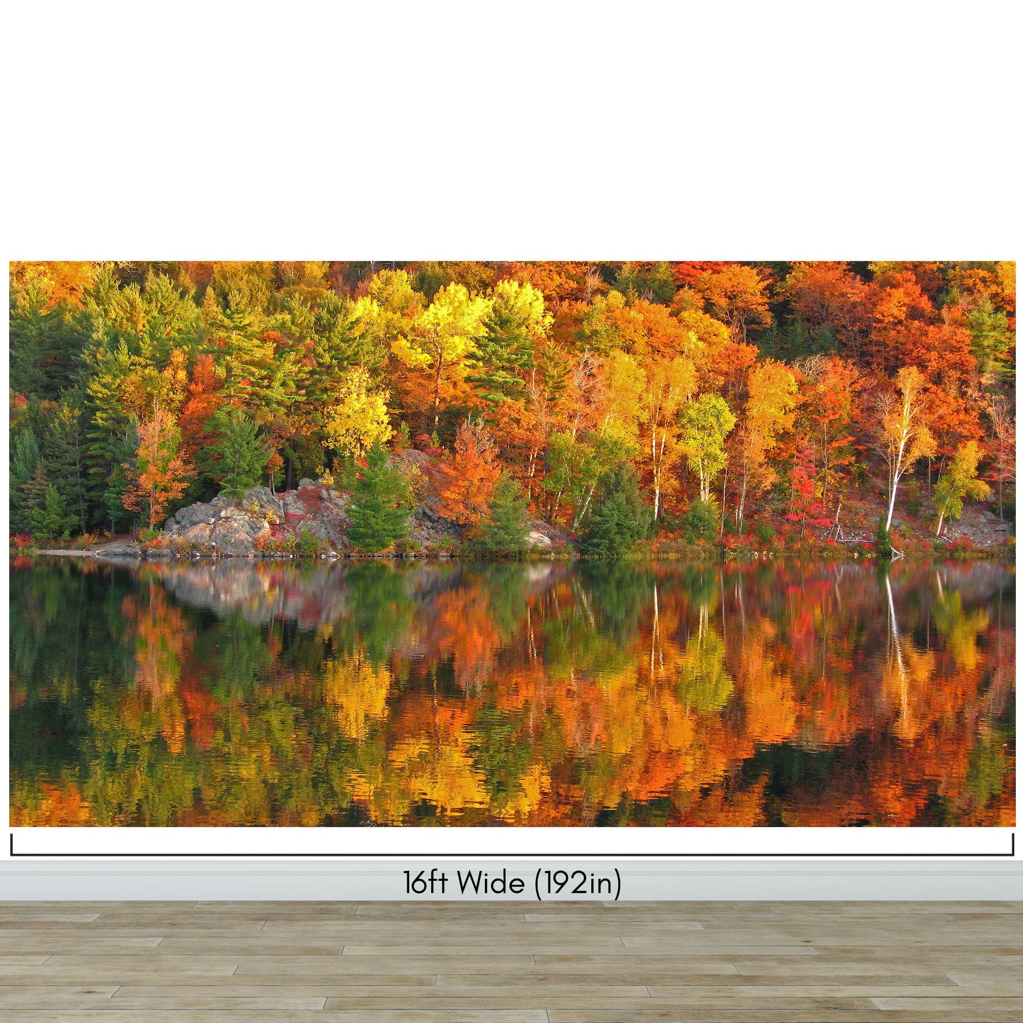 Colorful Autumn Forest Over Lake Wall Mural. Fall Foliage. #7052 - Image 11