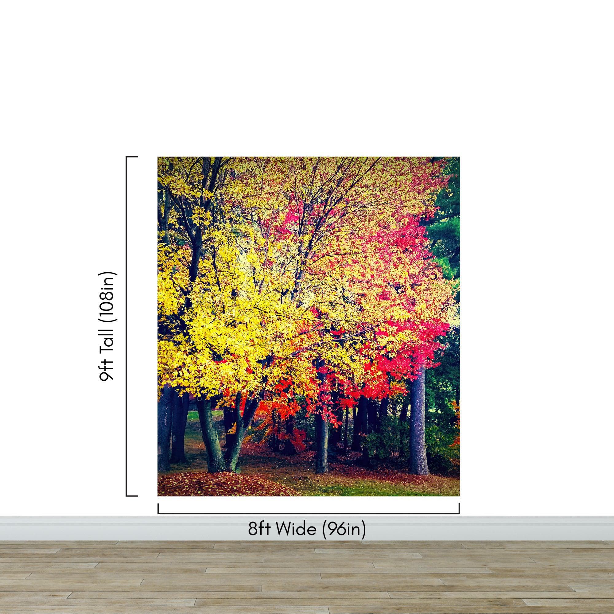 Colorful Autumn Trees Wallpaper Mural. #6981 - Image 11