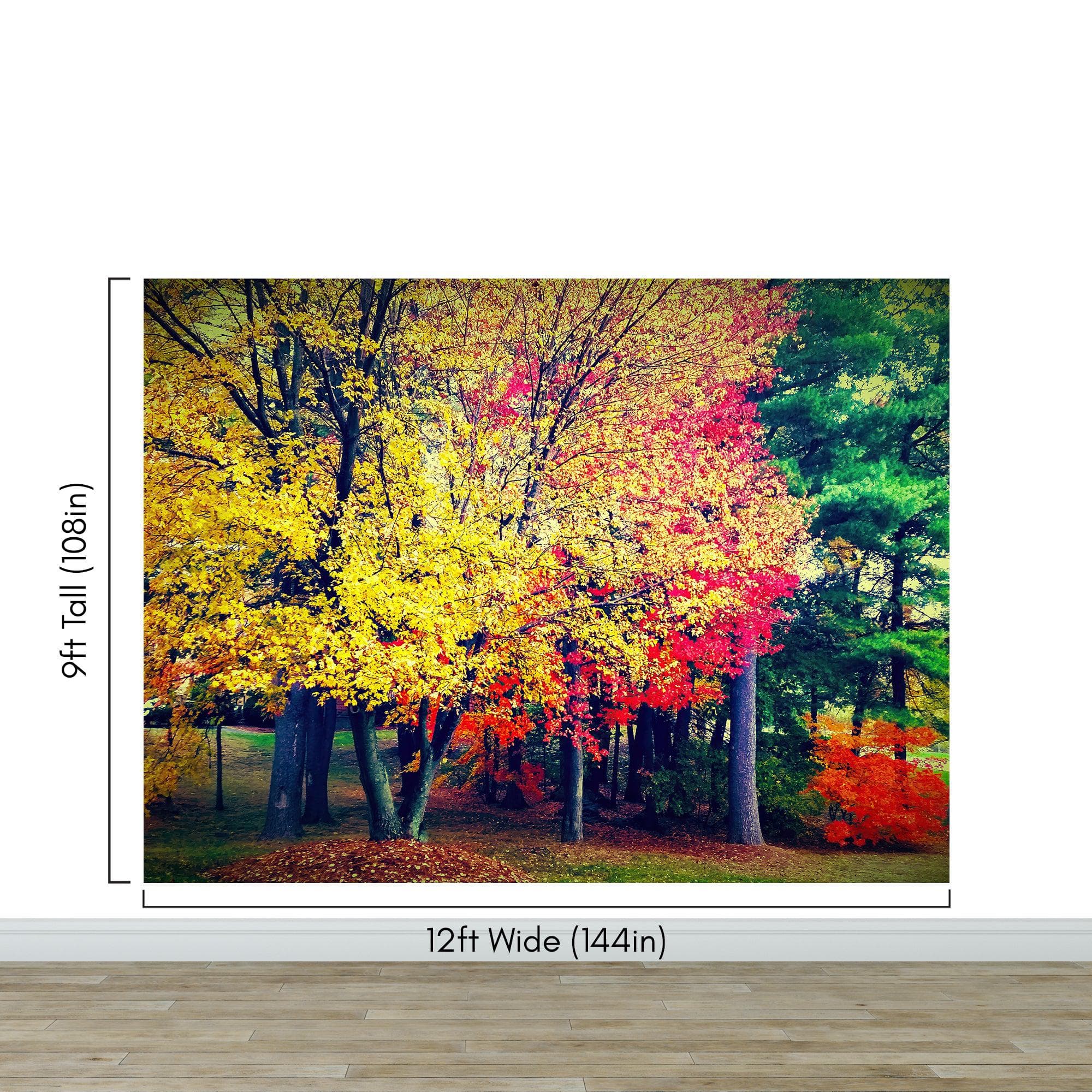 Colorful Autumn Trees Wallpaper Mural. #6981 - Image 12