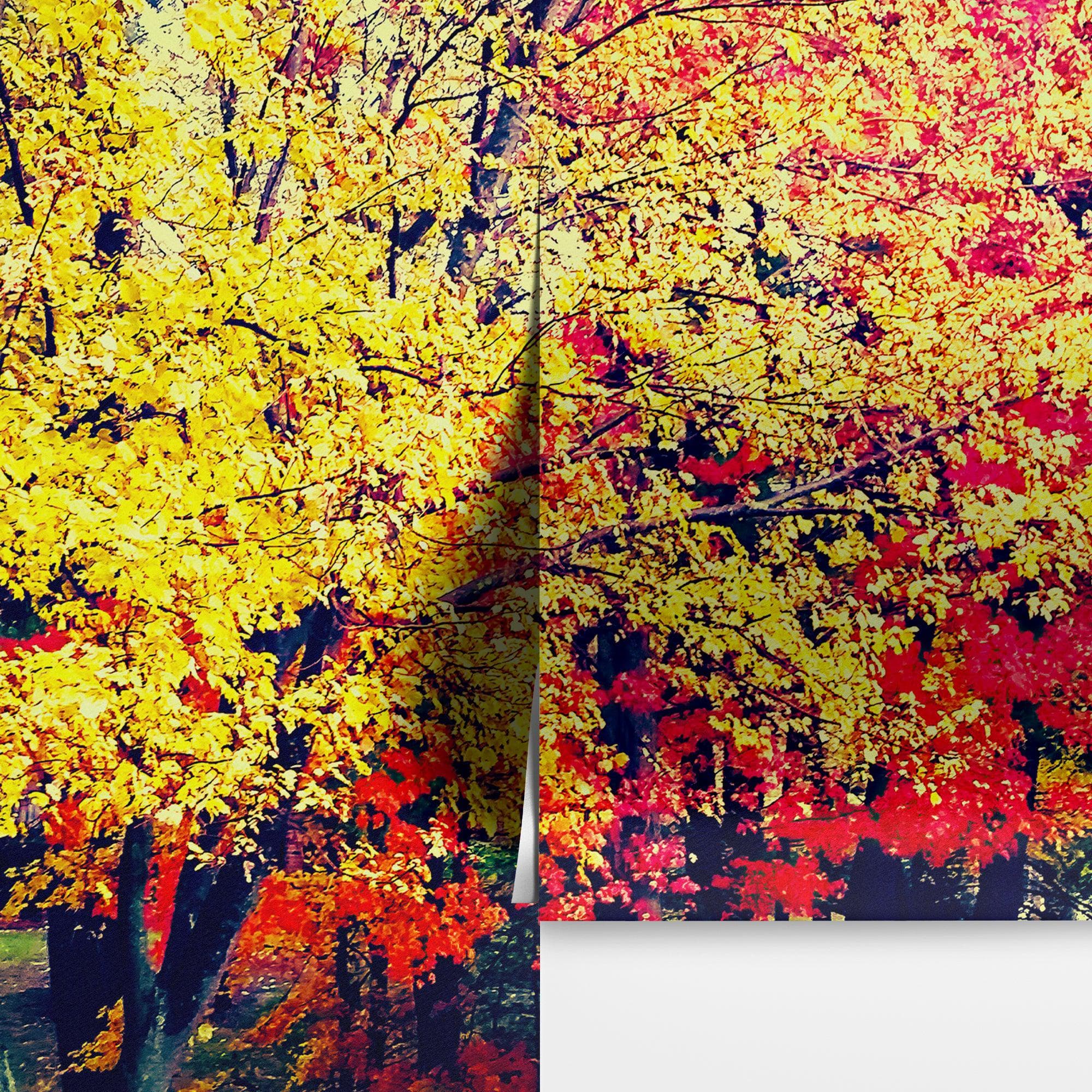 Colorful Autumn Trees Wallpaper Mural. #6981 - Image 14