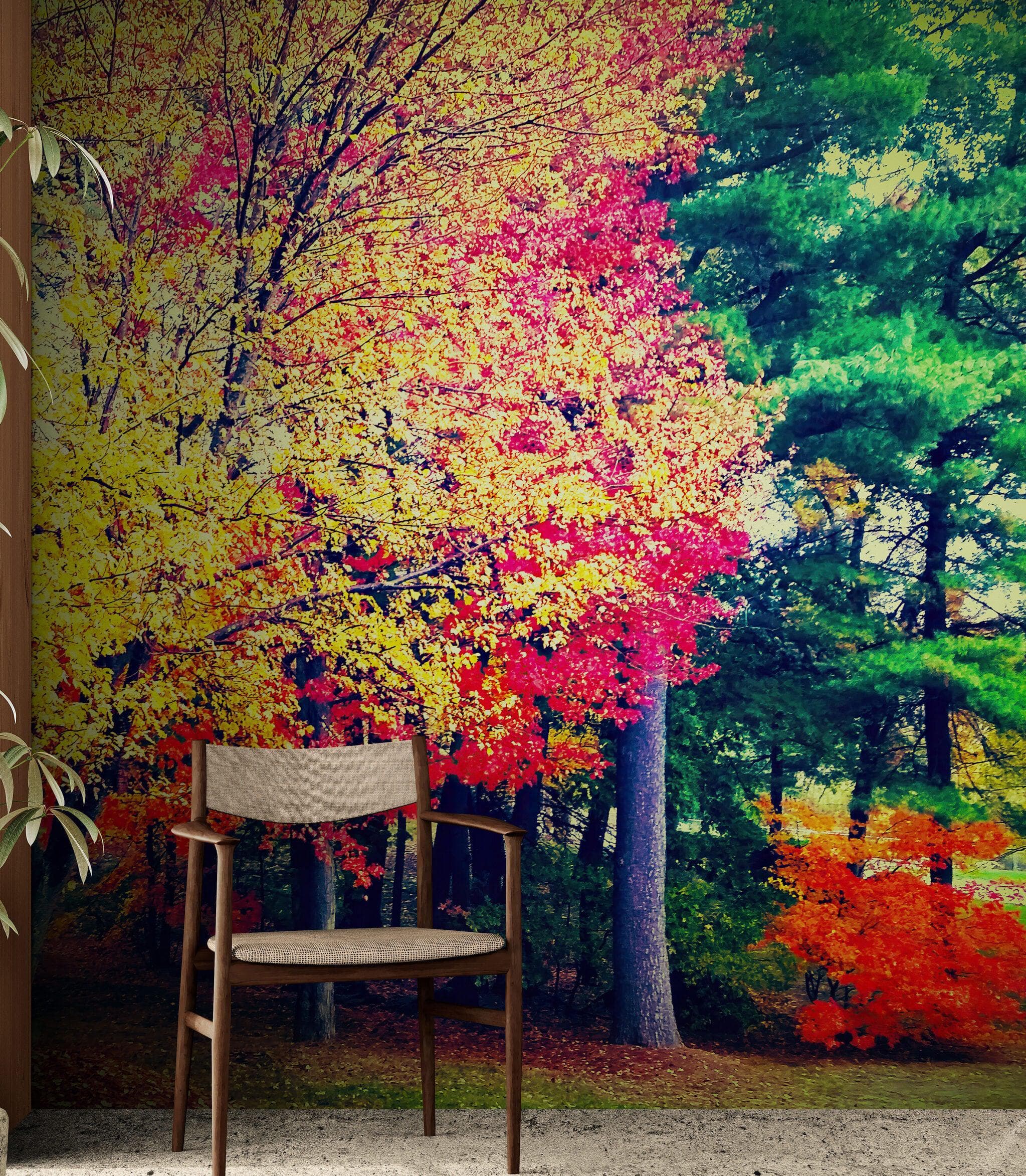 Colorful Autumn Trees Wallpaper Mural. #6981 - Image 5