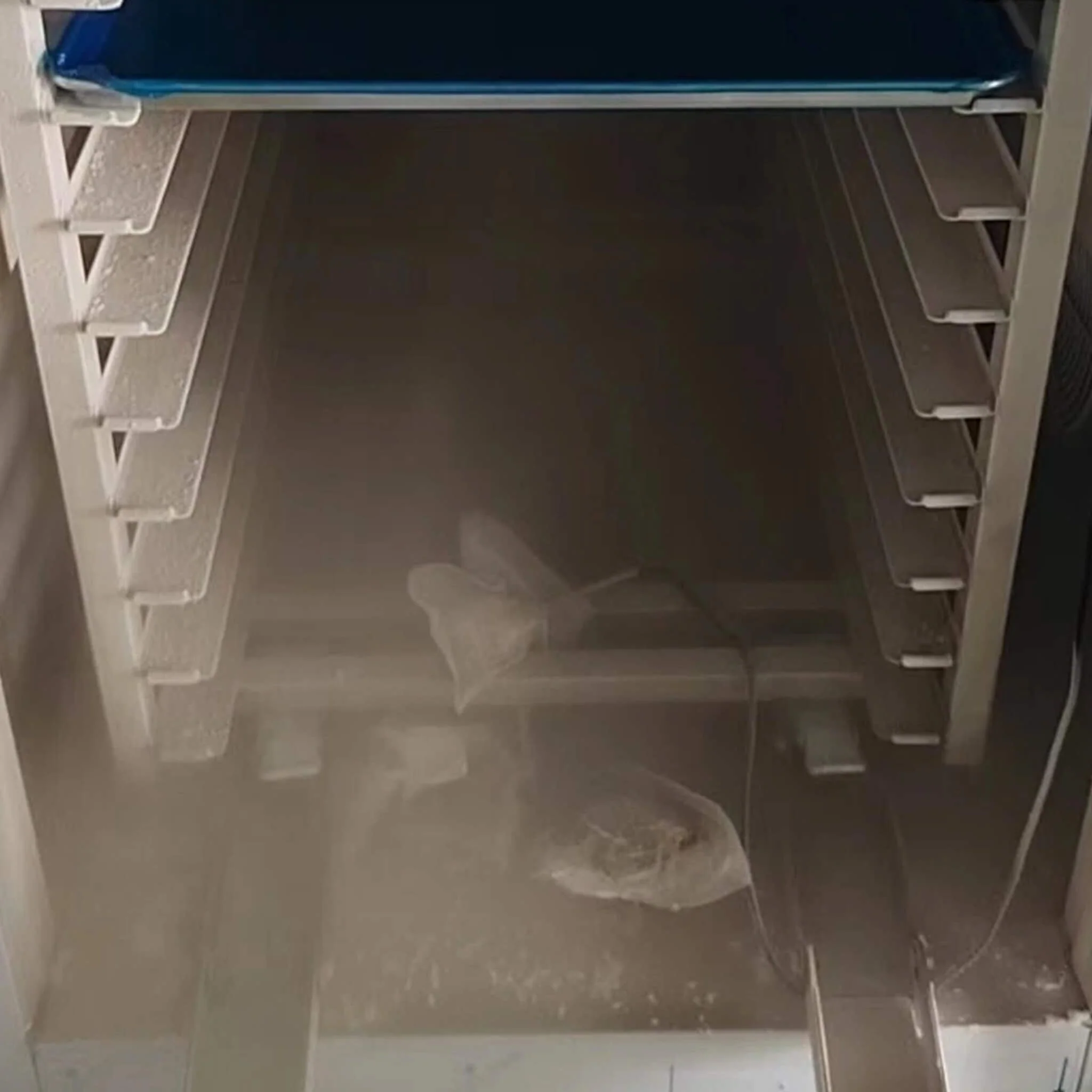 Commercial Heavy-Duty 15-Tray Blast Chiller Freezer Cabinet With Trolley Cart (SAK57249) - Image 6