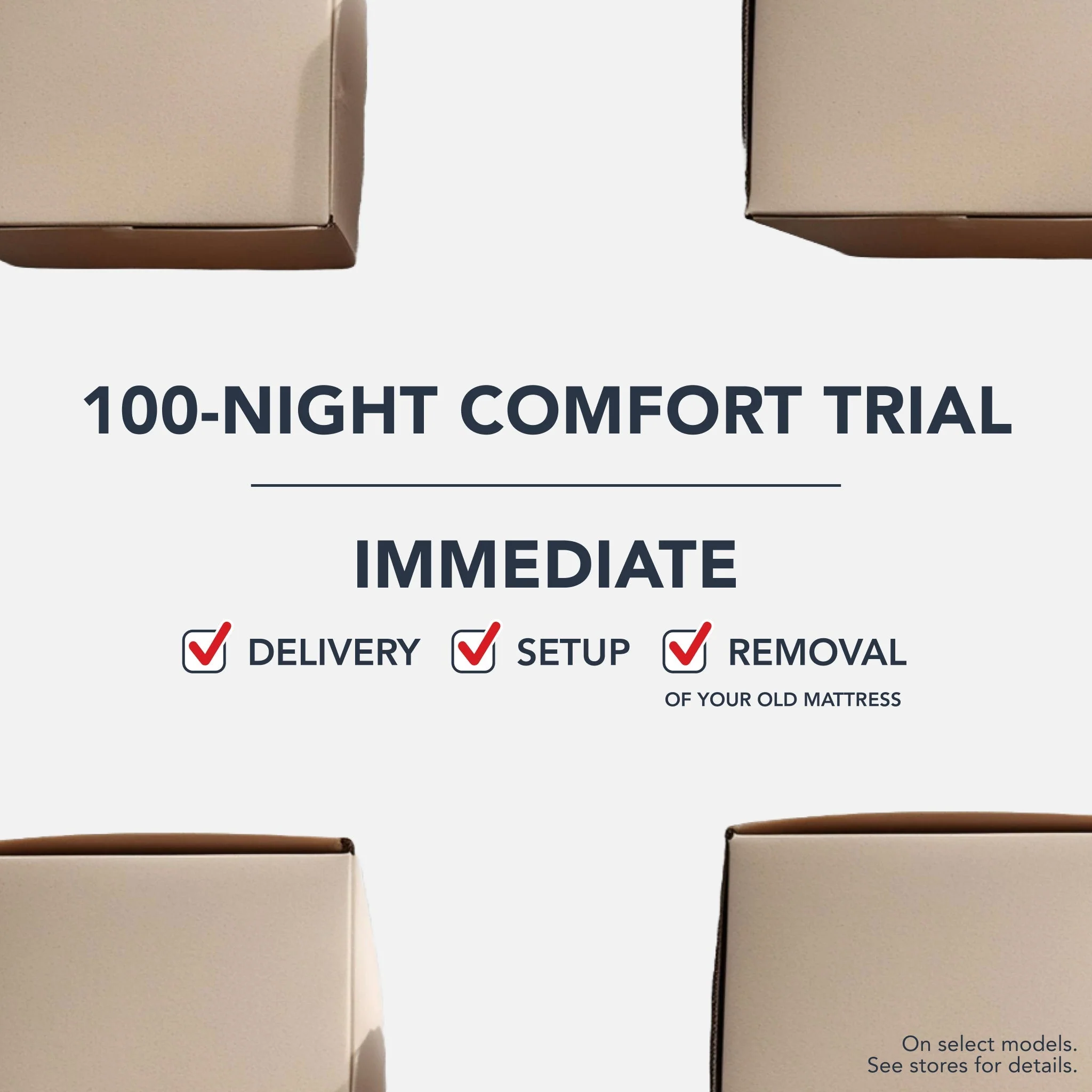 Compel Soft - Image 8