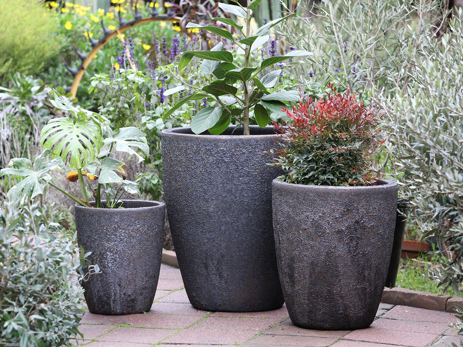 Cone Planter - Set of 3 (Glazed) By Plantatorem - Image 12