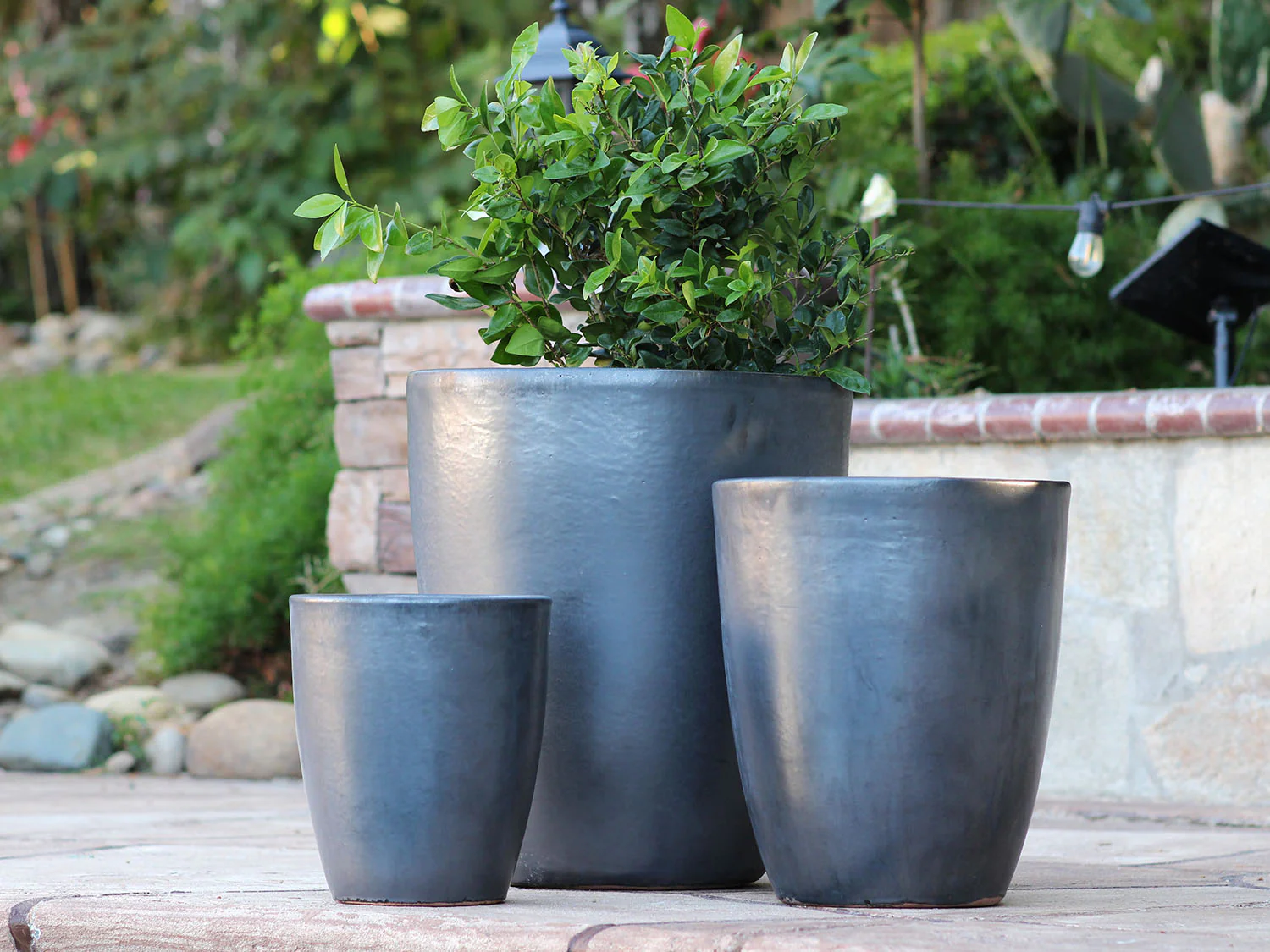 Cone Planter - Set of 3 (Glazed) By Plantatorem - Image 3