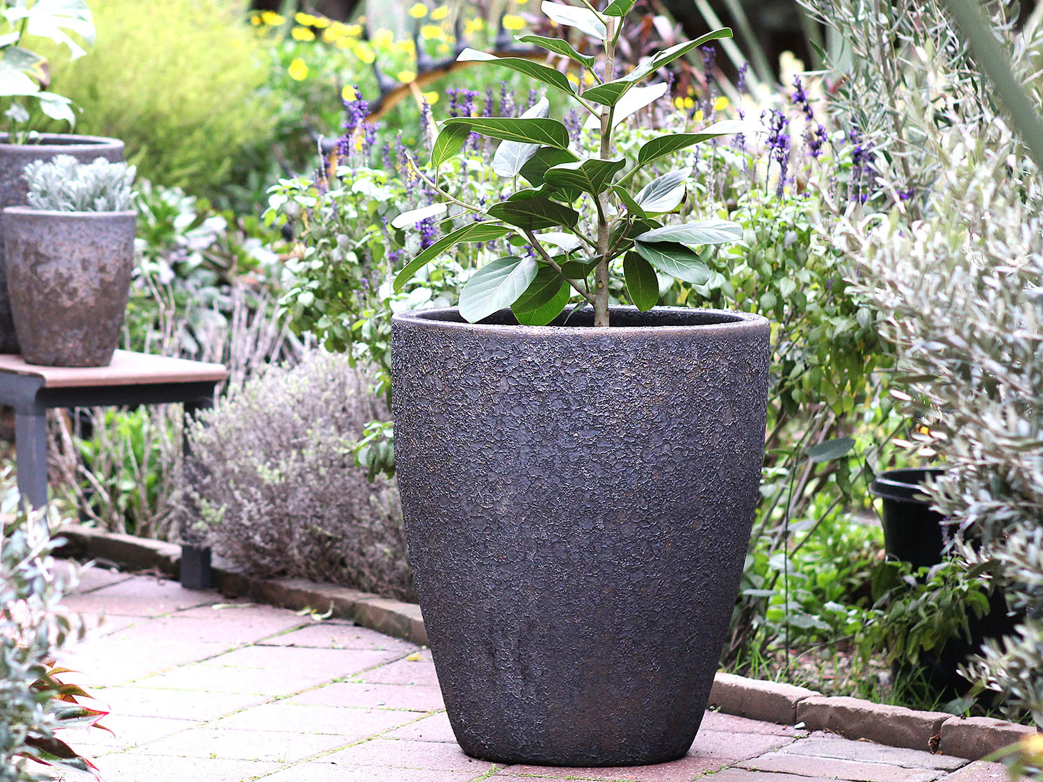 Cone Planter - Set of 3 (Glazed) By Plantatorem - Image 9