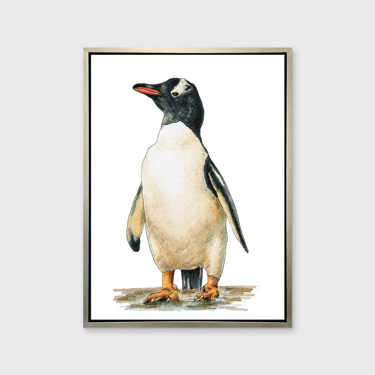 Cool - Open Edition Canvas Print