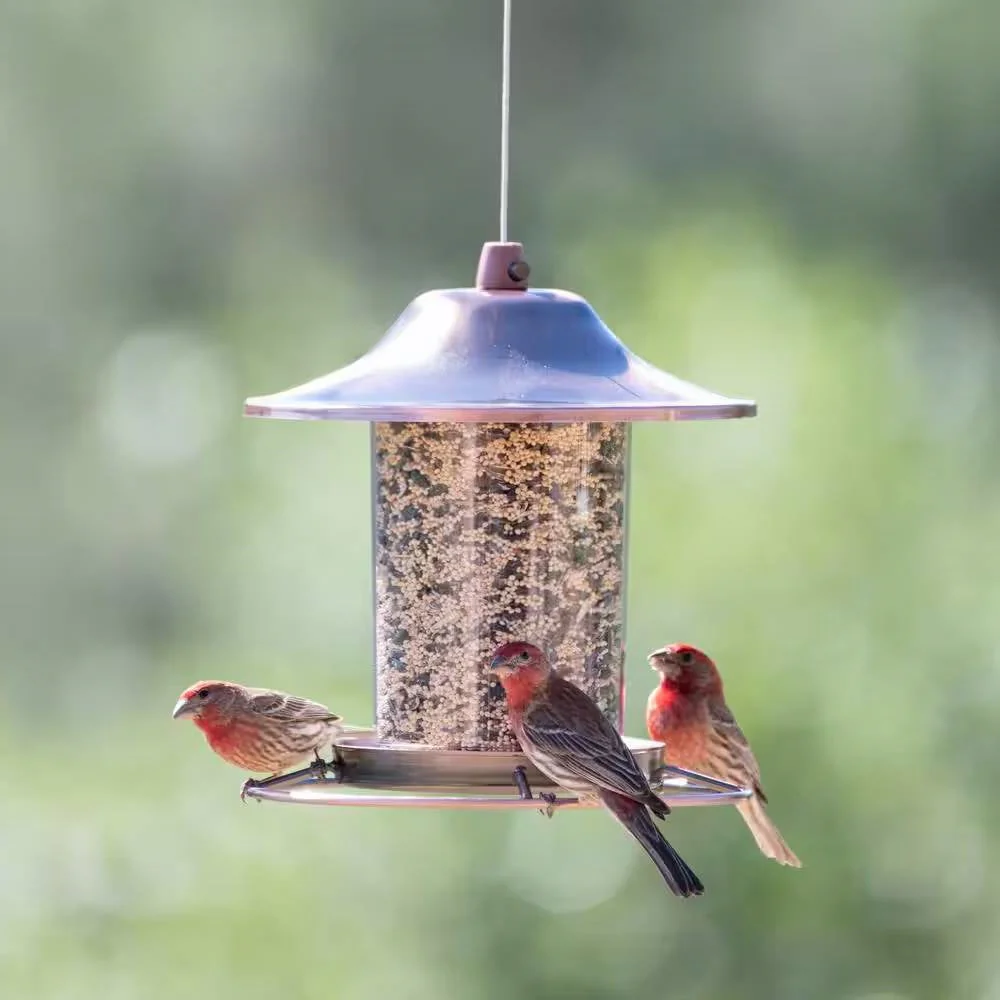Copper Bird Feeder with Plastic Seed Reservoir Tube and Circular Perch - Image 3