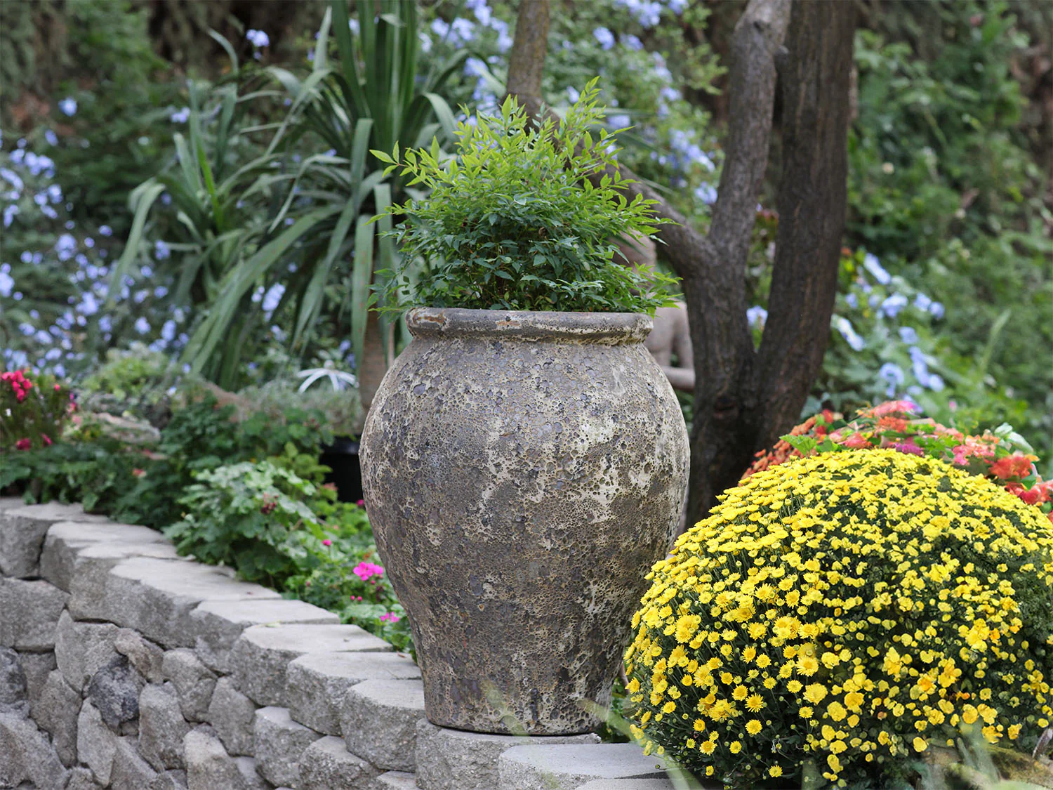 Corinthian Vase - Image 10