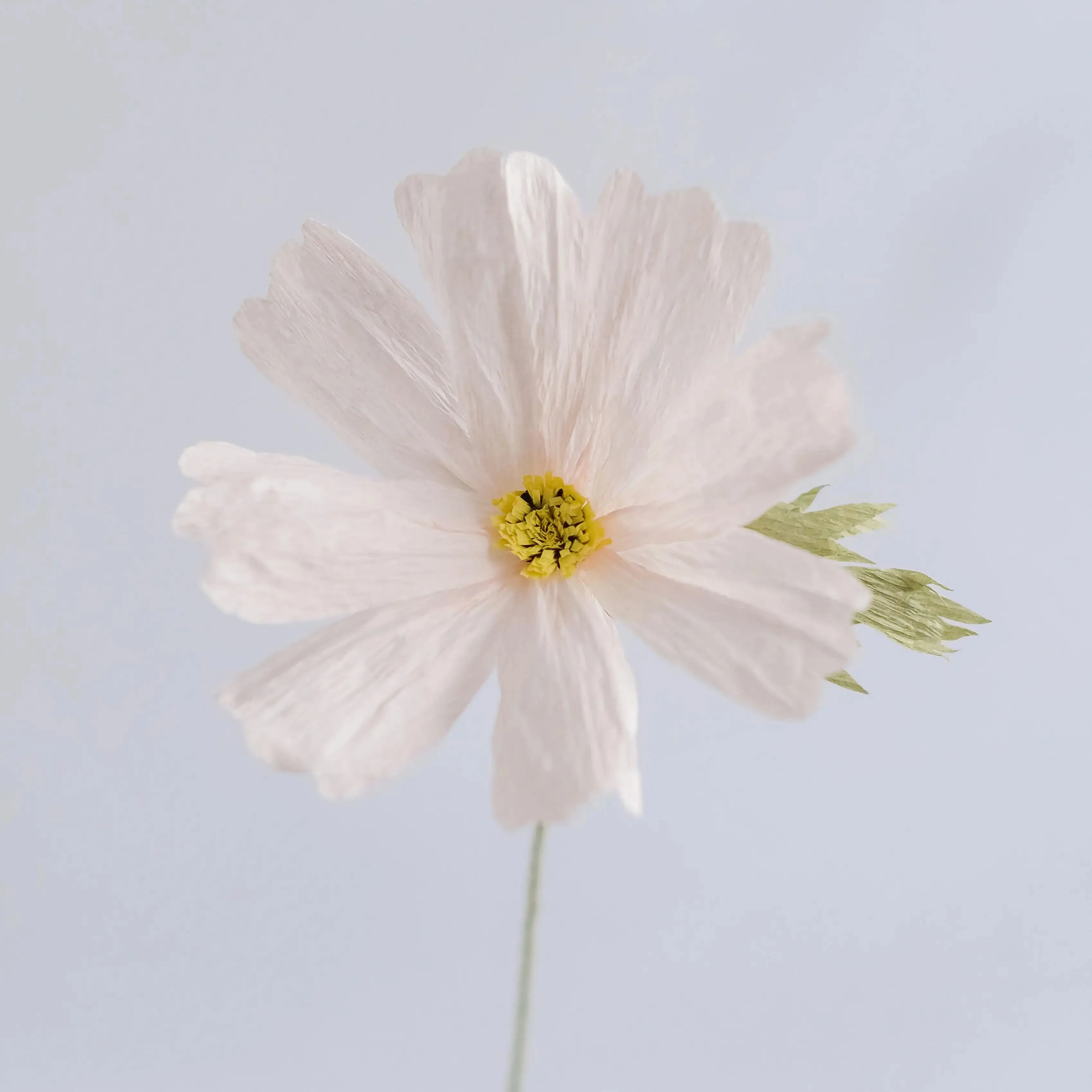 Cosmos Single Stem | Handcrafted Paper Wildflower - Image 2