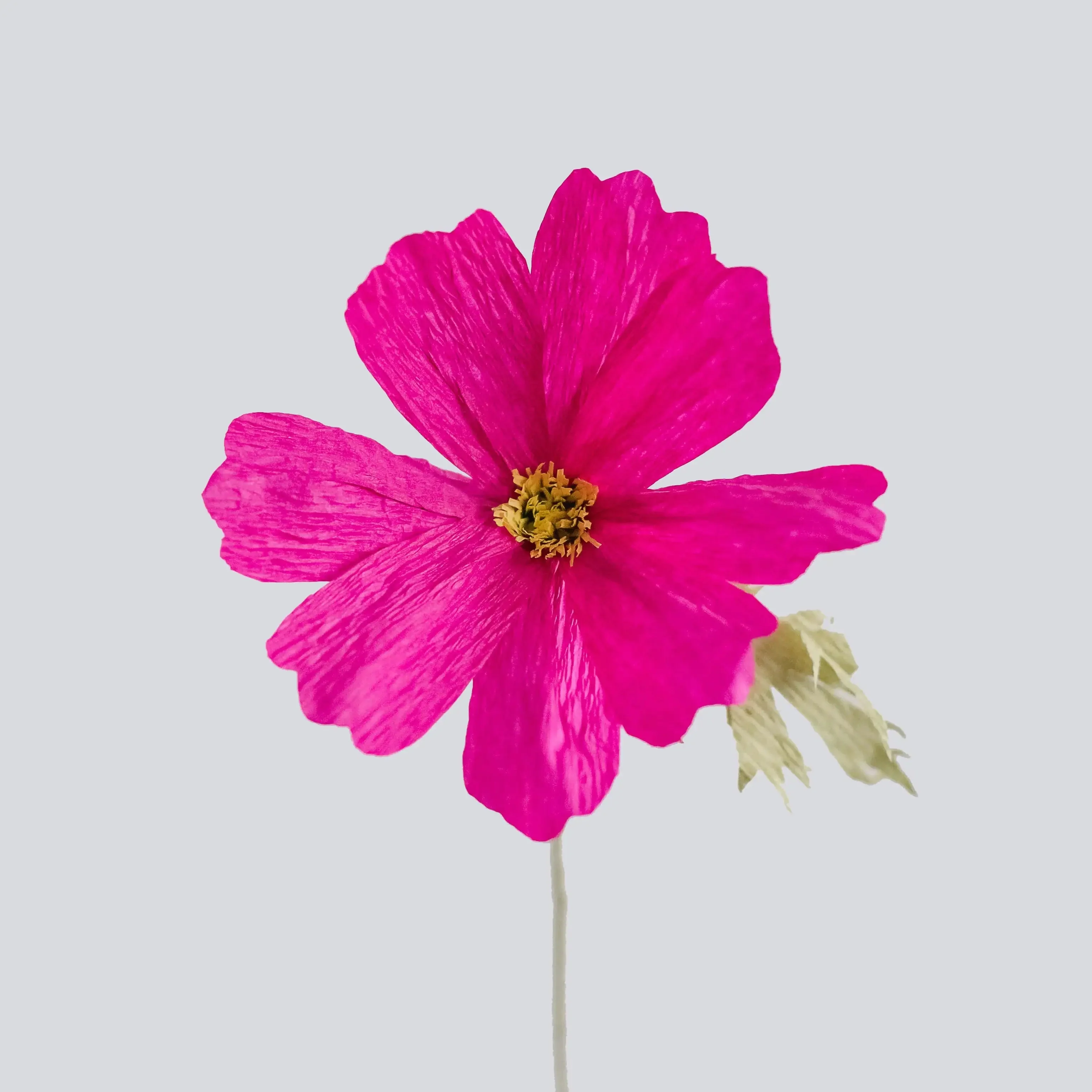 Cosmos Single Stem | Handcrafted Paper Wildflower - Image 3