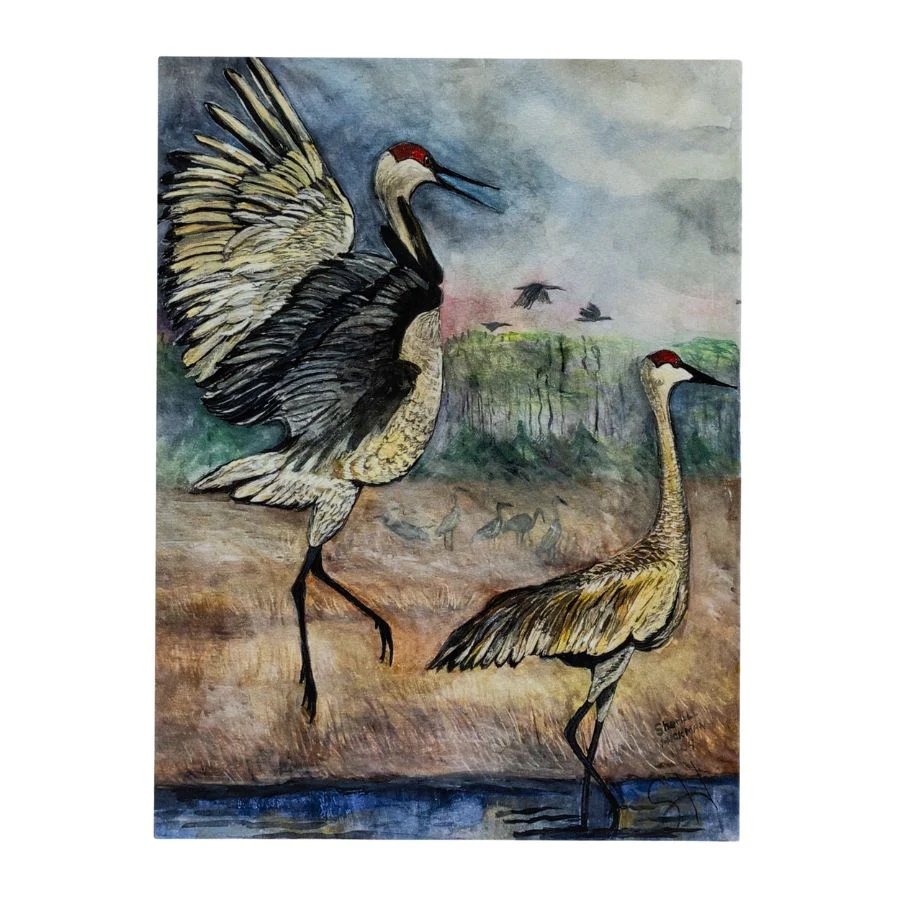 Crane Variety Card Set | Set of 3 | 4" x 6" | Hand-Painted | Sheryll Hickman Art - Image 3