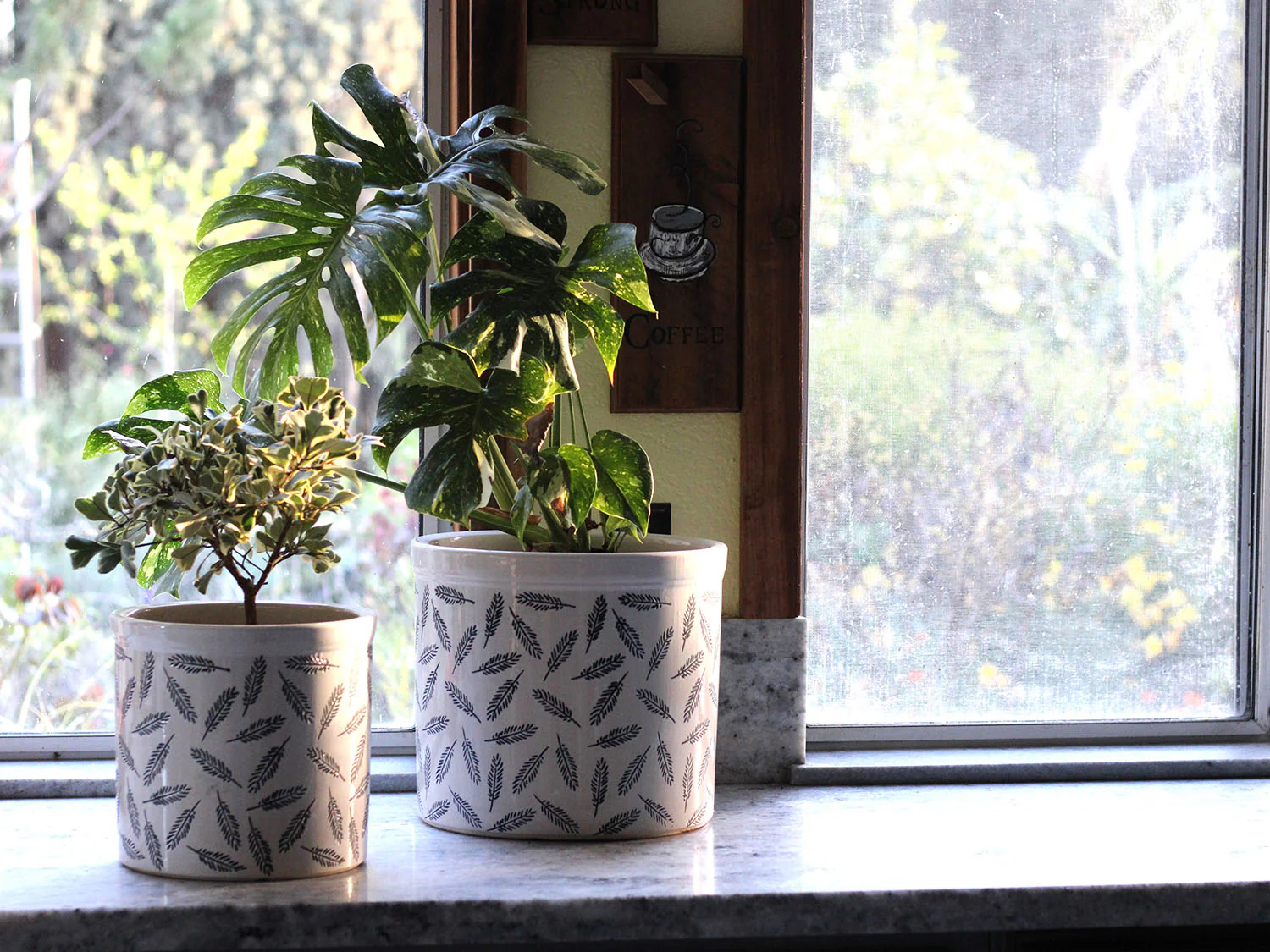 Crock Jar Planter By Plantatorem - Image 3