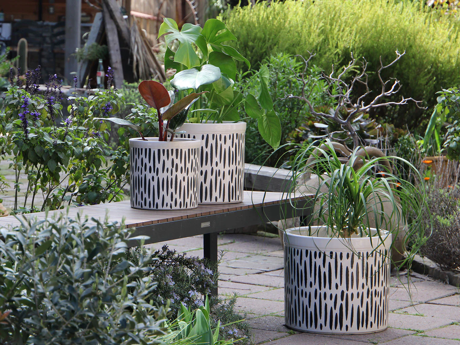 Crock Jar Planter By Plantatorem - Image 4