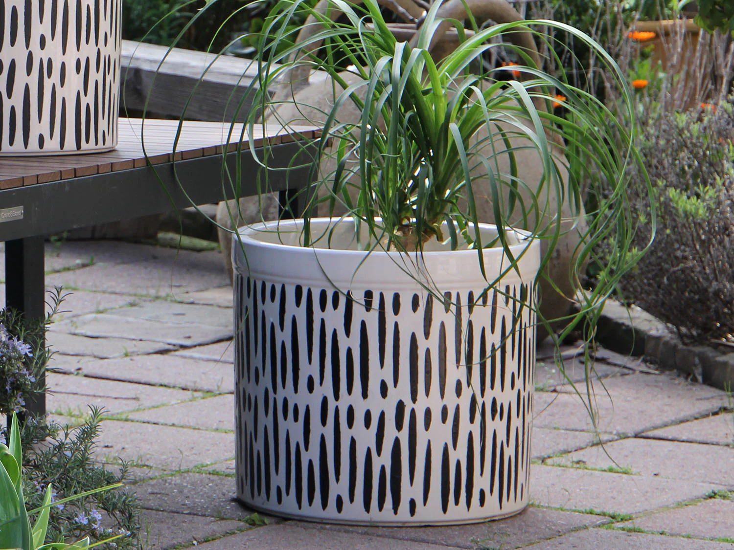 Crock Jar Planter By Plantatorem - Image 6