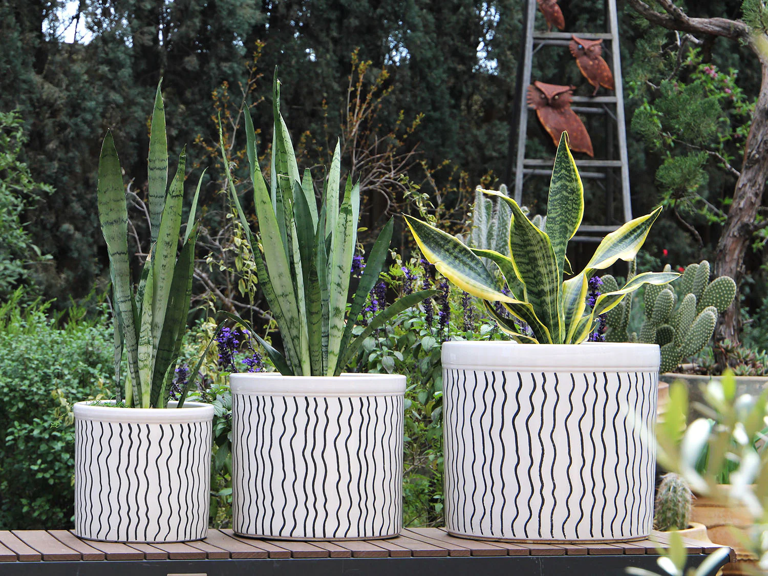 Crock Jar Planter By Plantatorem - Image 7