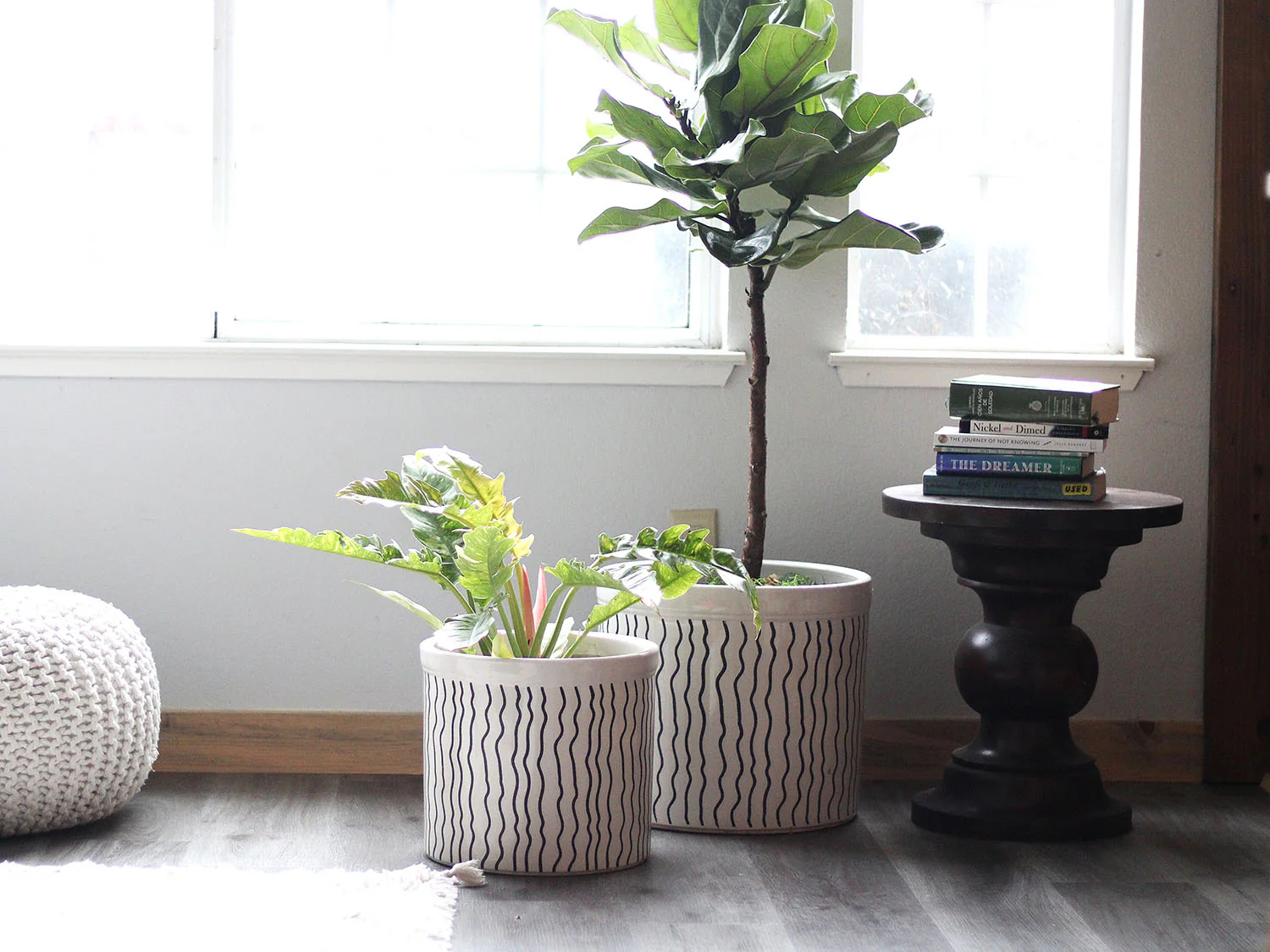 Crock Jar Planter By Plantatorem - Image 9
