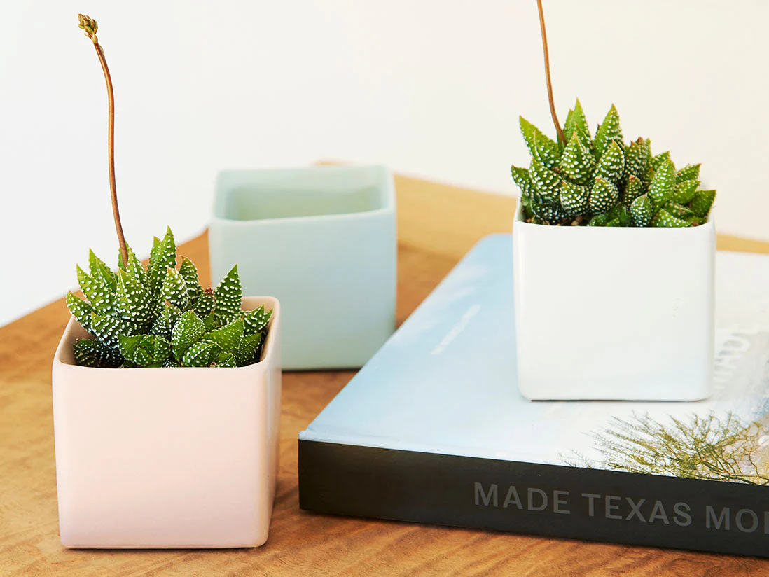 Cube Cache Pot - 4.5" x 3.5" By Plantatorem - Image 3