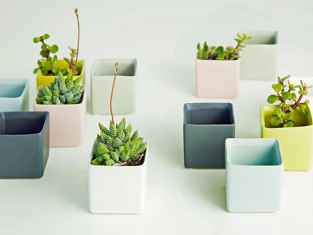 Cube Cache Pot - 4.5" x 3.5" By Plantatorem - Image 6