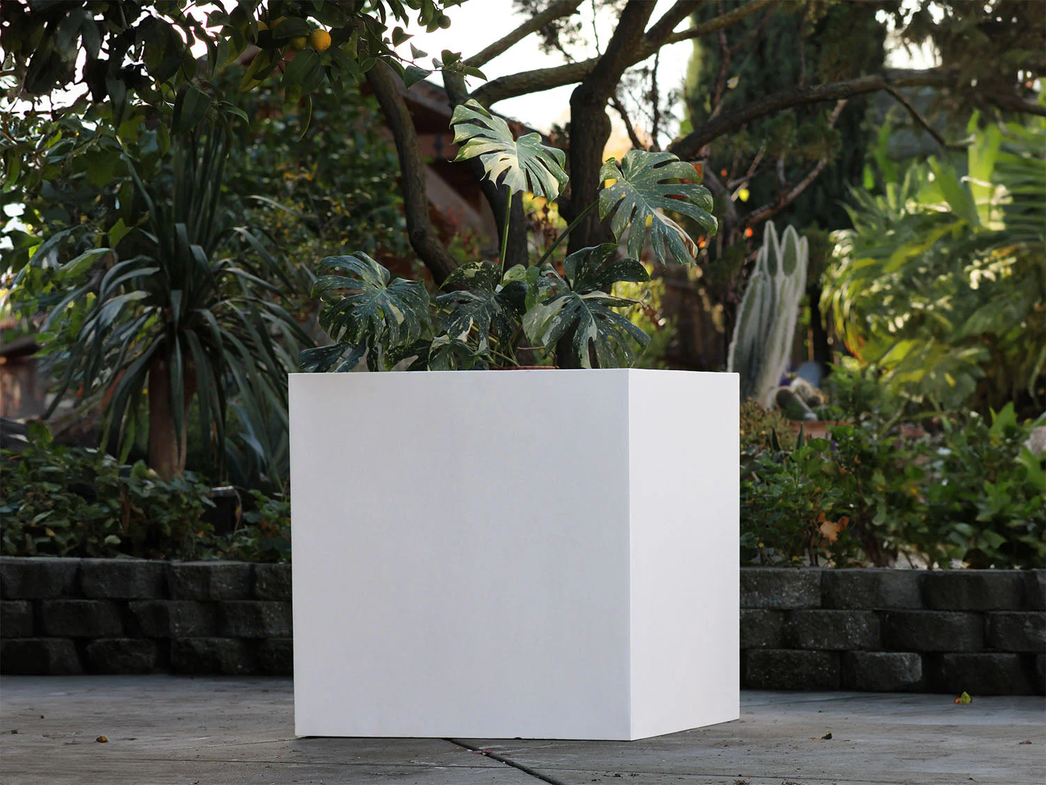 Cube Planter 12.0"- 23.5" By Plantatorem - Image 6