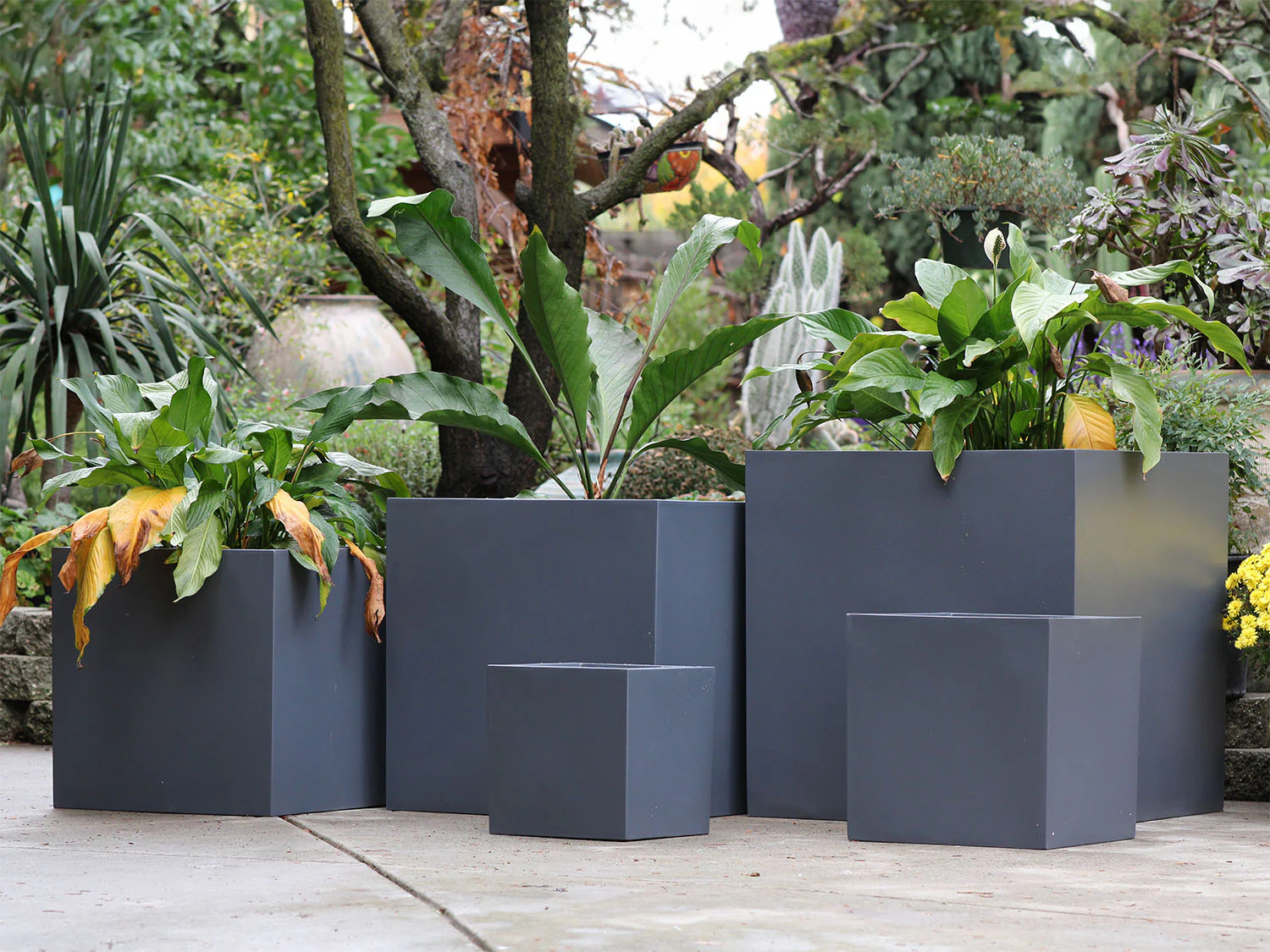 Cube Planter 12.0" - 27.5" By Plantatorem - Image 3